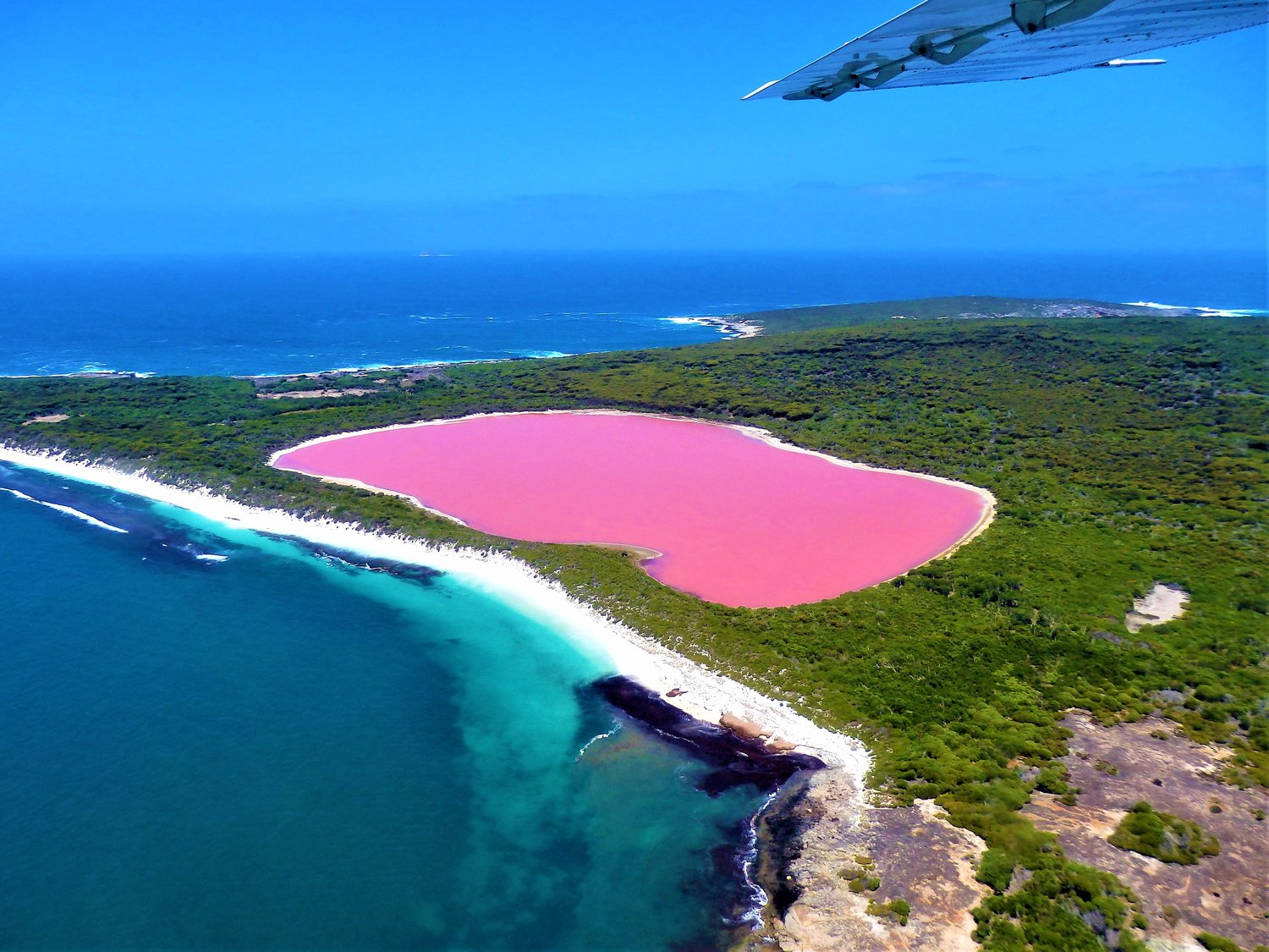 Pink Lake Hillier in Australia r/BeAmazed