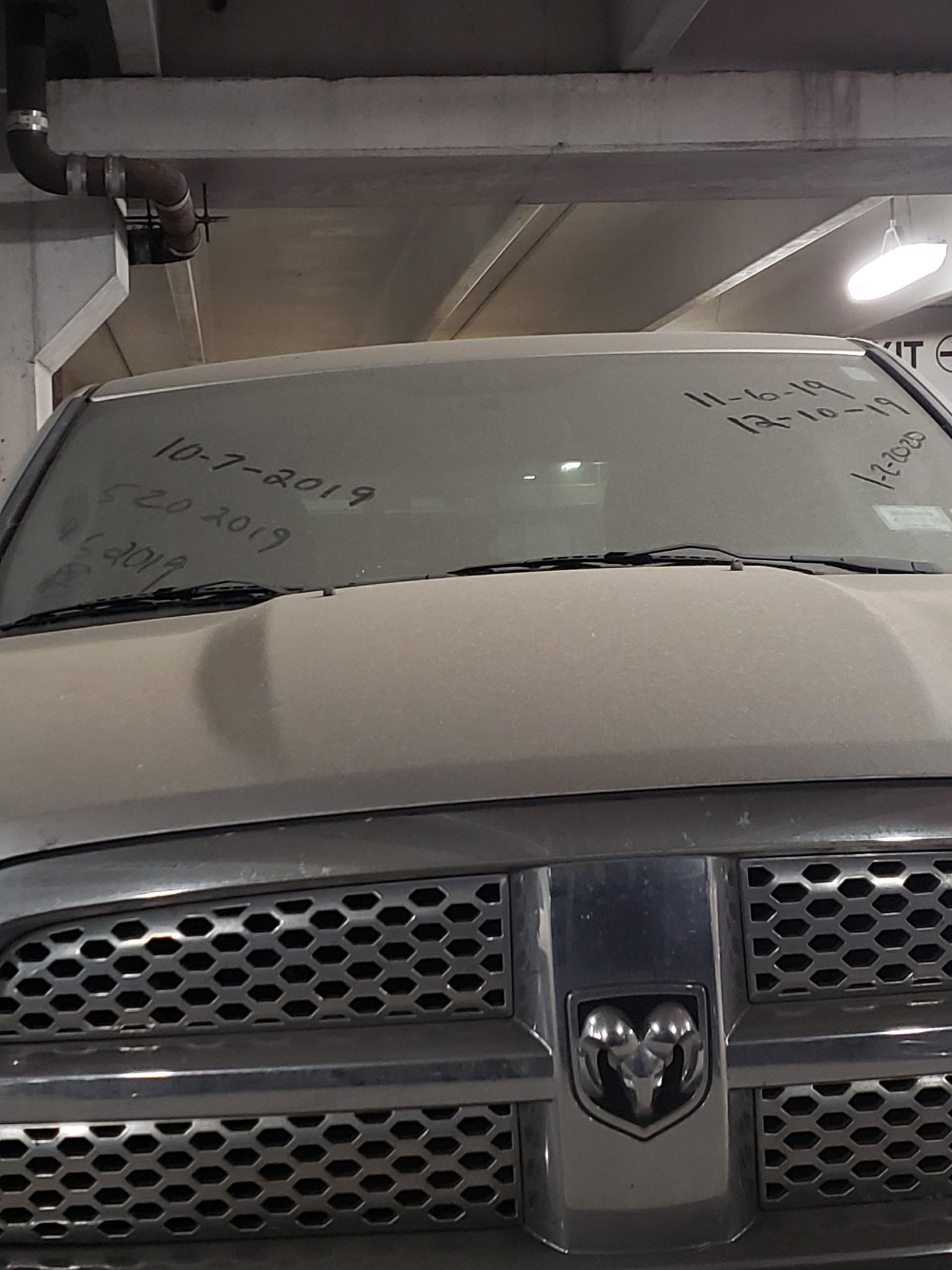 We were the first ones in the new year to bless this dusty car r/funny