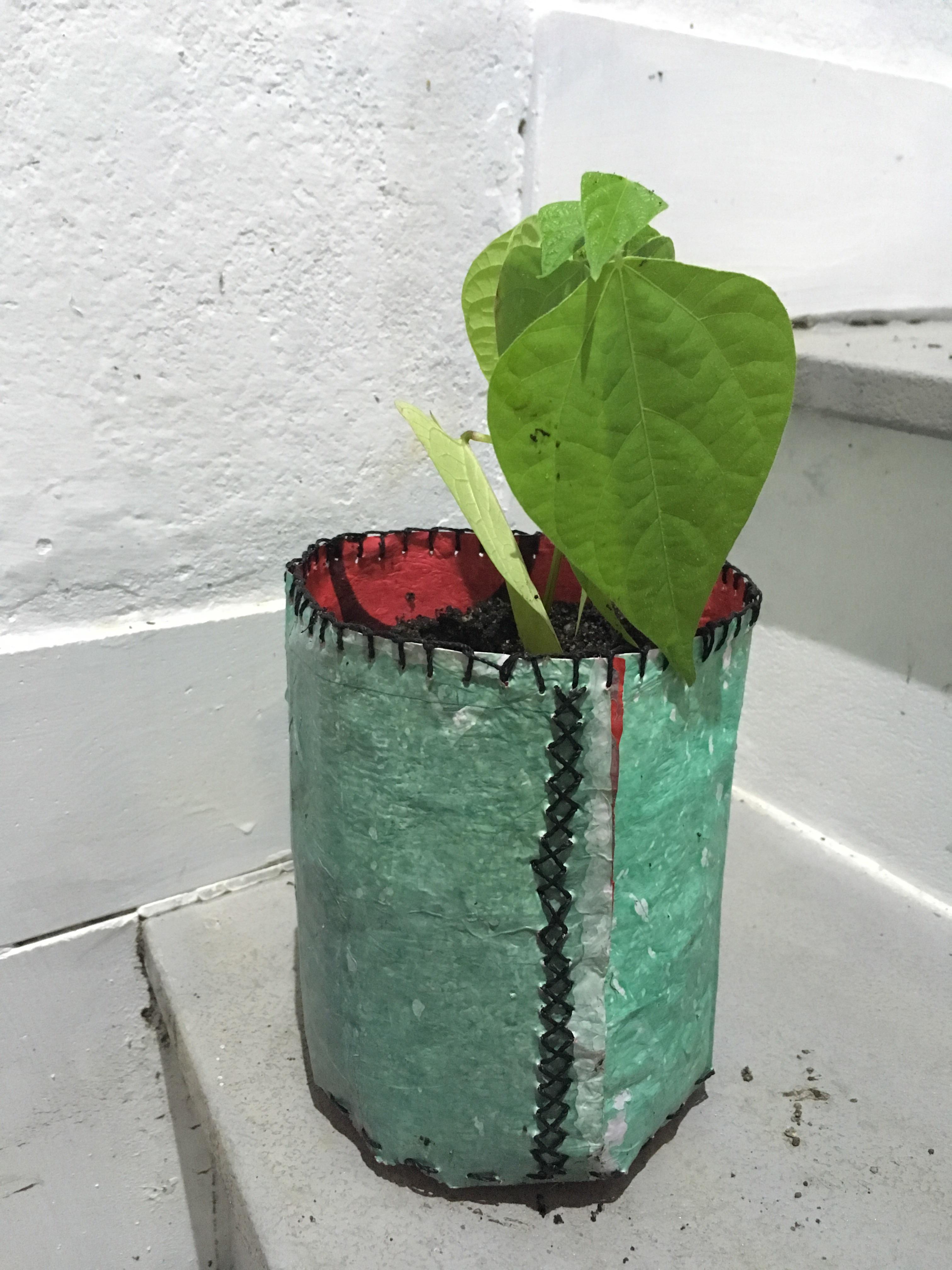 These are my plant pots made from recycled homemade pressed plastic bag