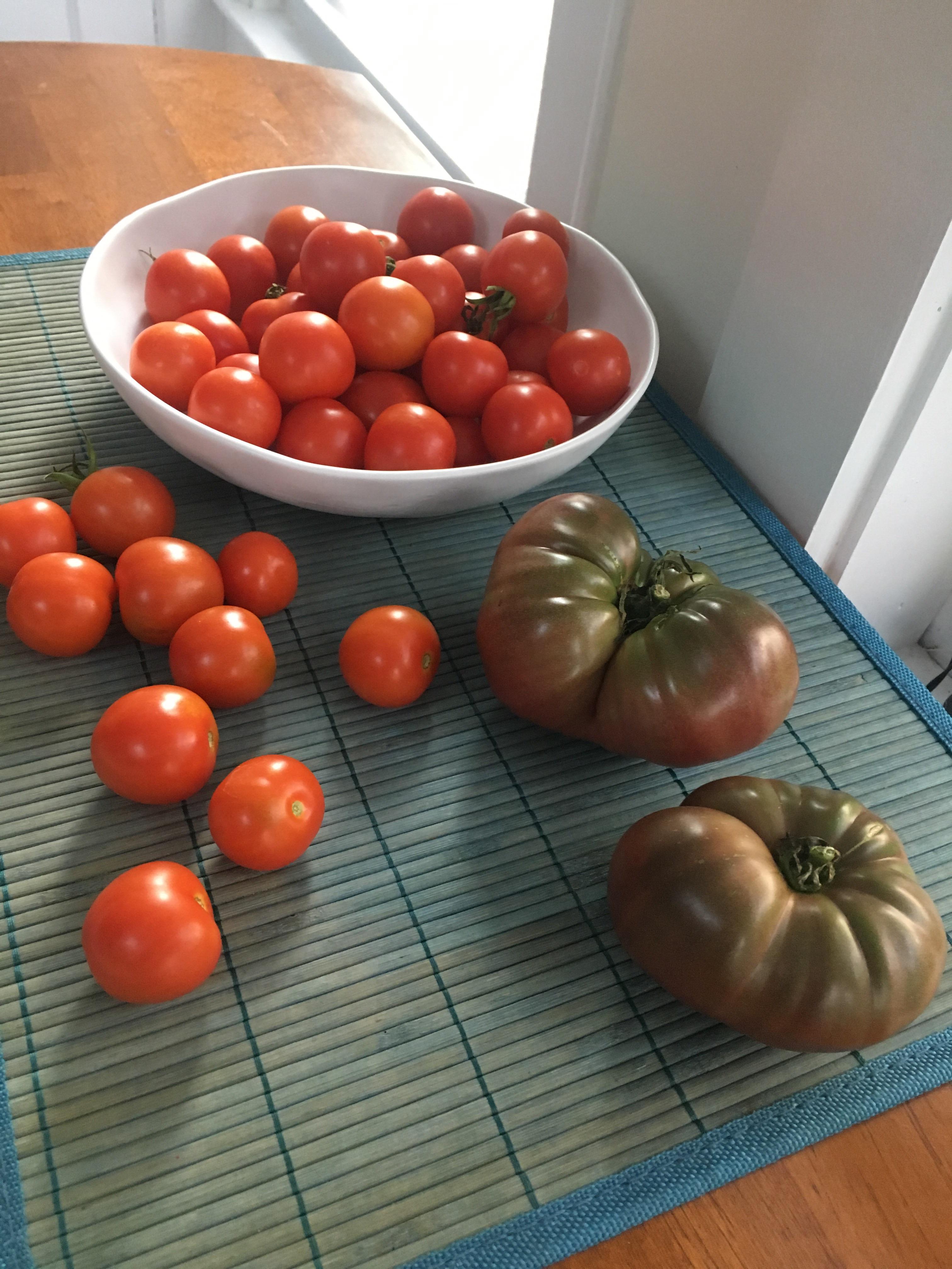 My black brandywine tomatoes are finally turning after an unusually hot