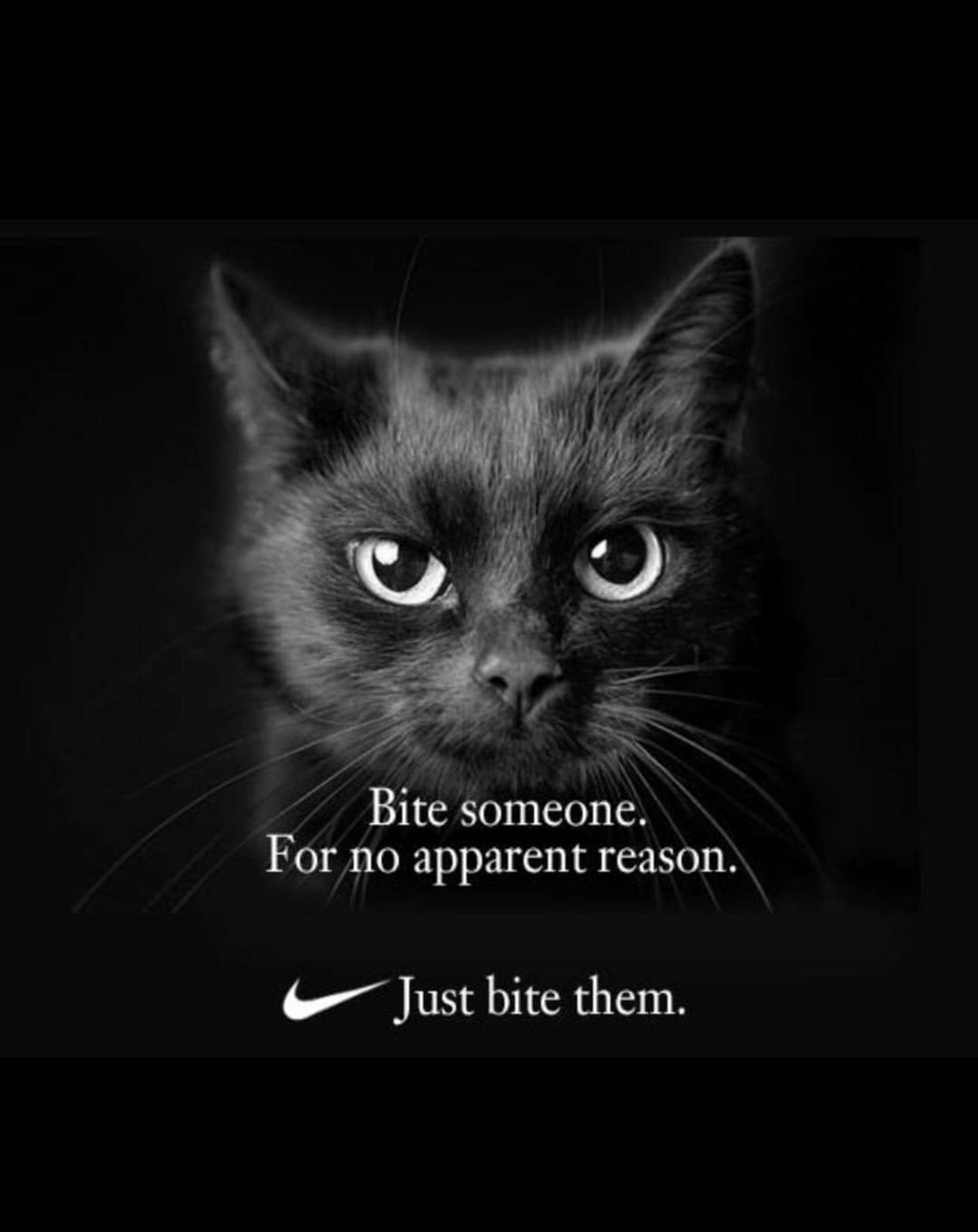 Just bite them r/cats