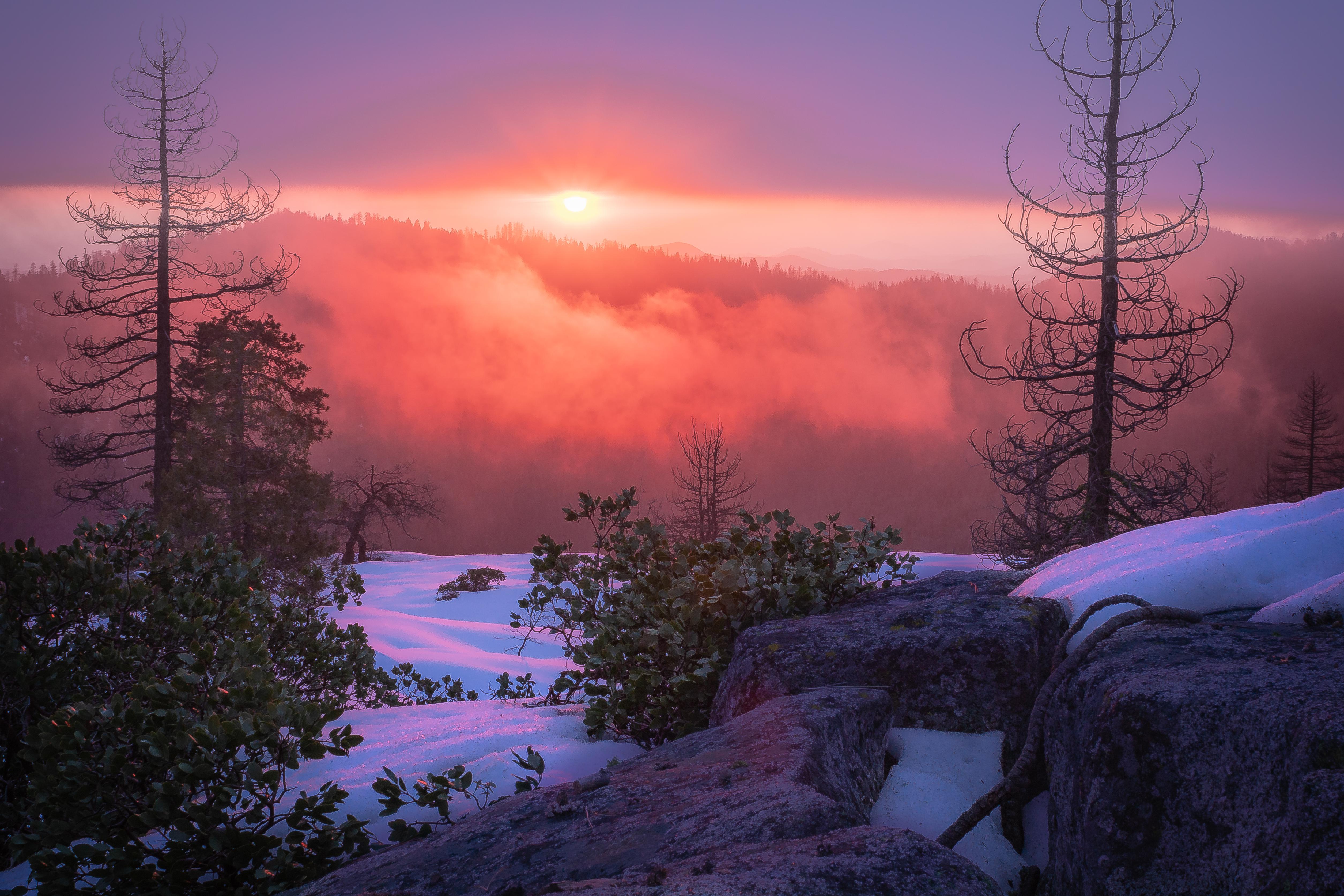 Interesting Photo of the Day Golden Hour Drama at Sequoia National Park