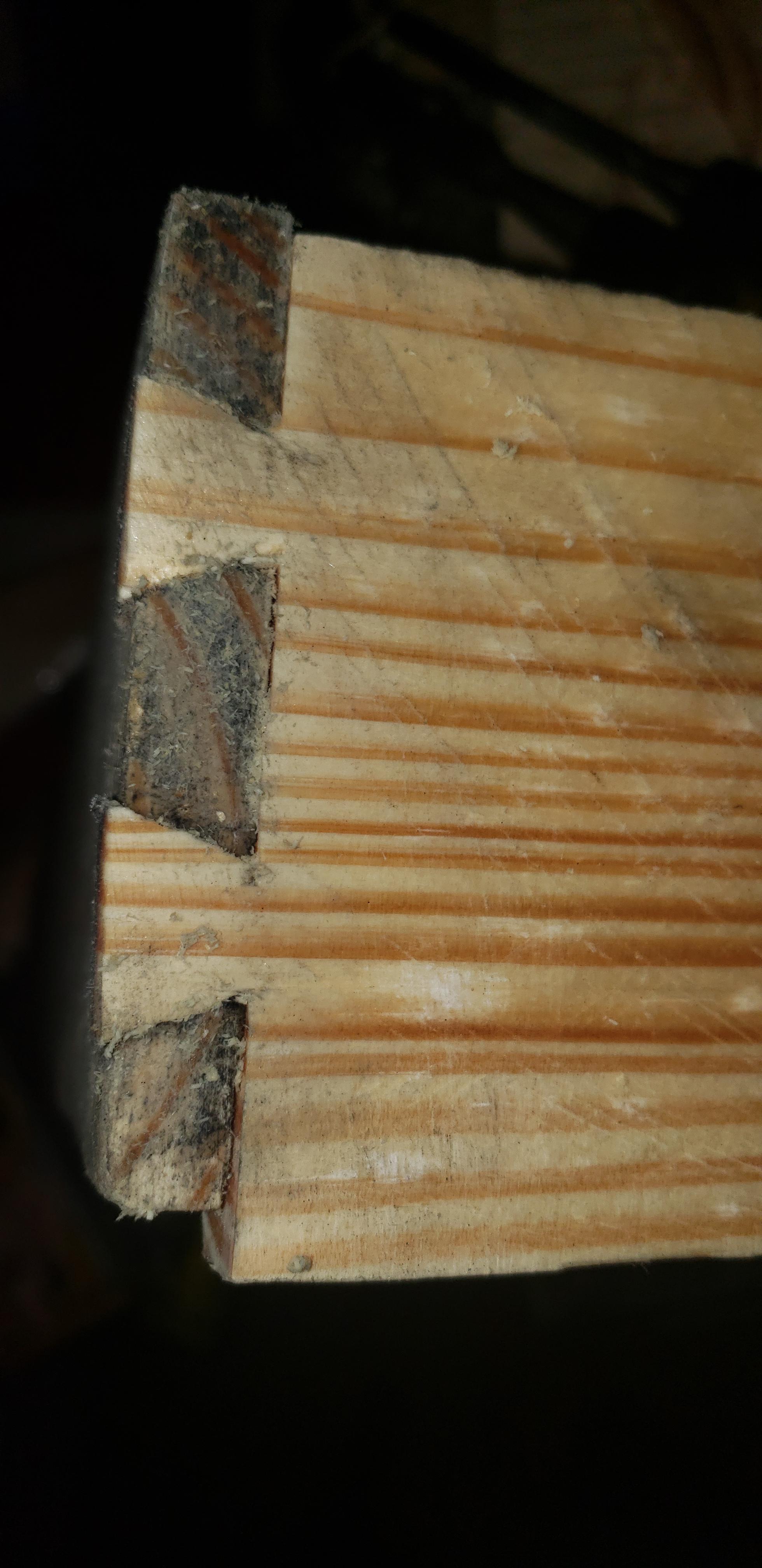 First dovetails, made with pallet pine, and harbor freight chisels. r