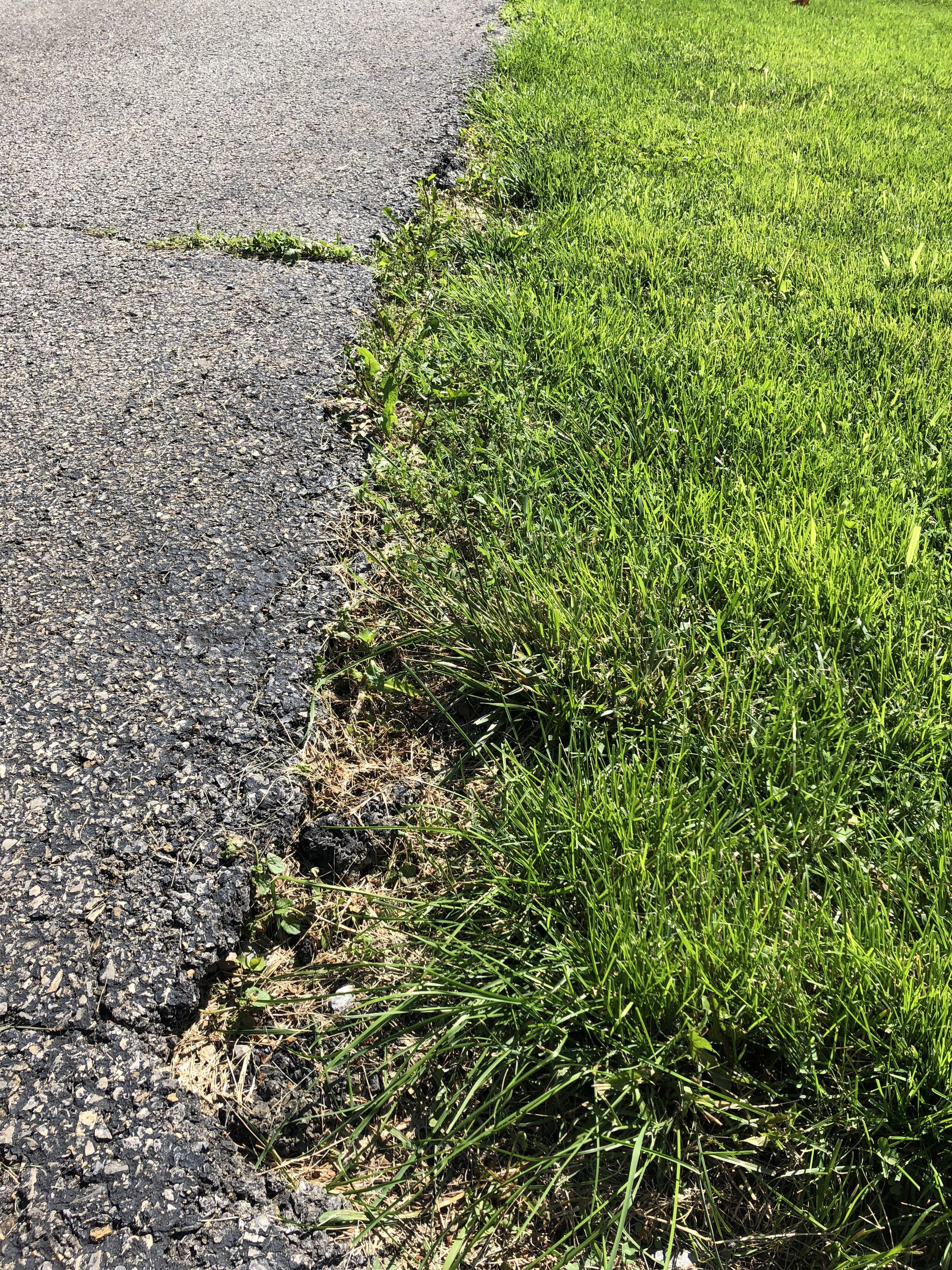 How to make this edge look nice? The driveway is about 2 inches higher