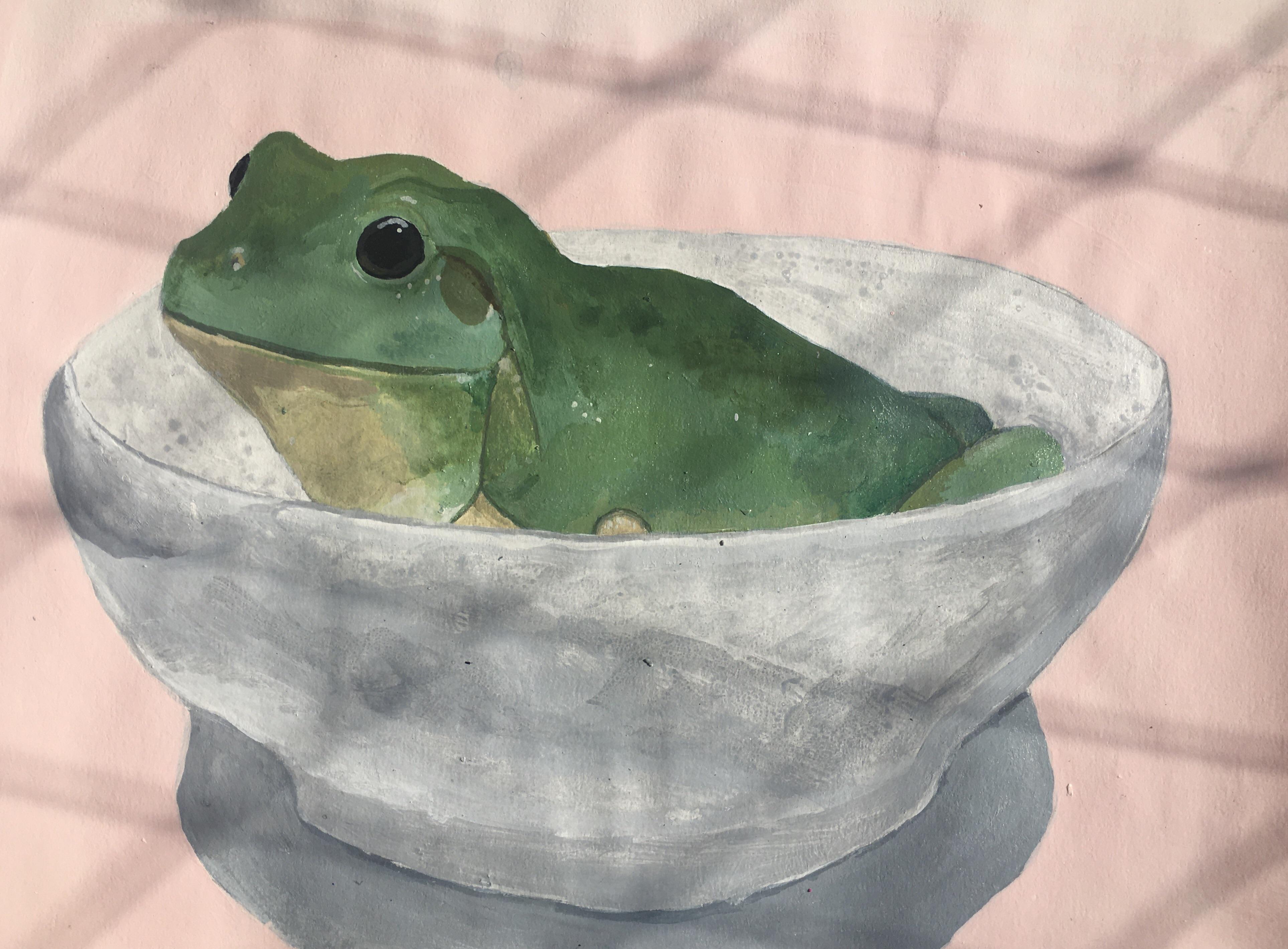 another frog lol this one is in a bowl r/frogs