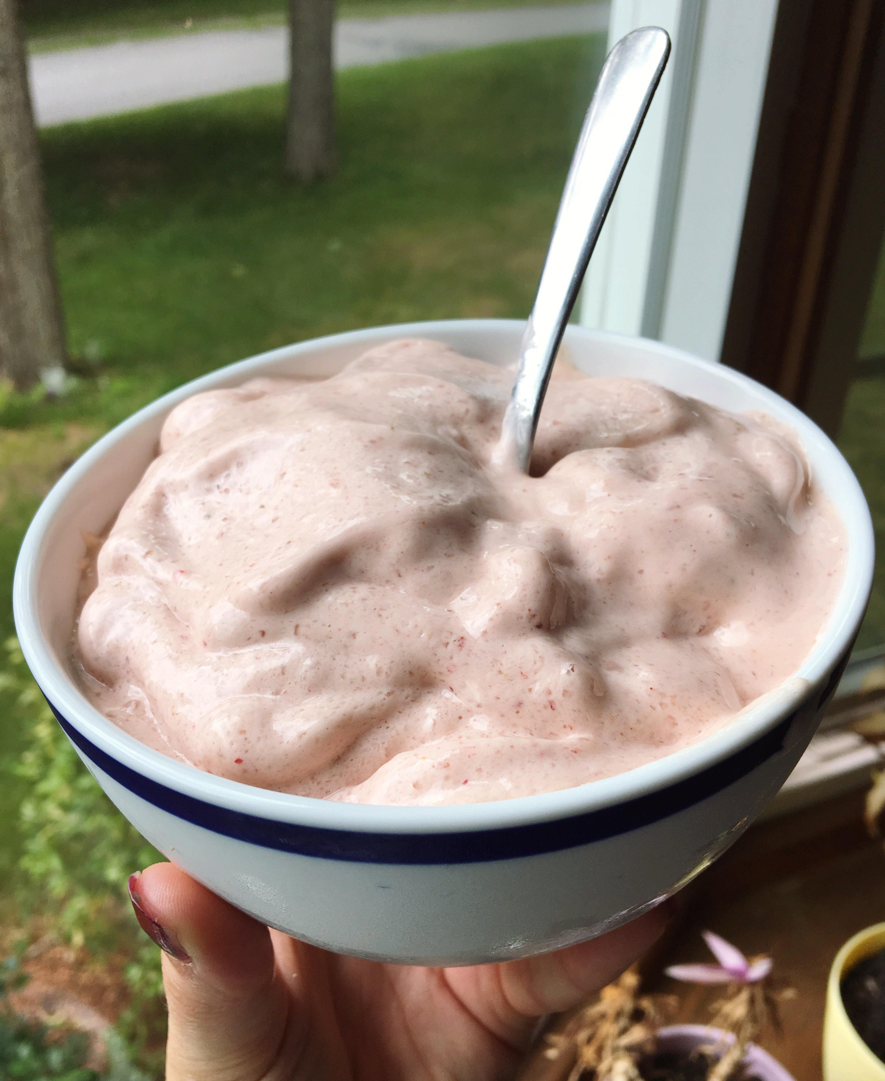 Coach Greg’s anabolic ice cream (249 calories, 27g protein, 6.5g fiber