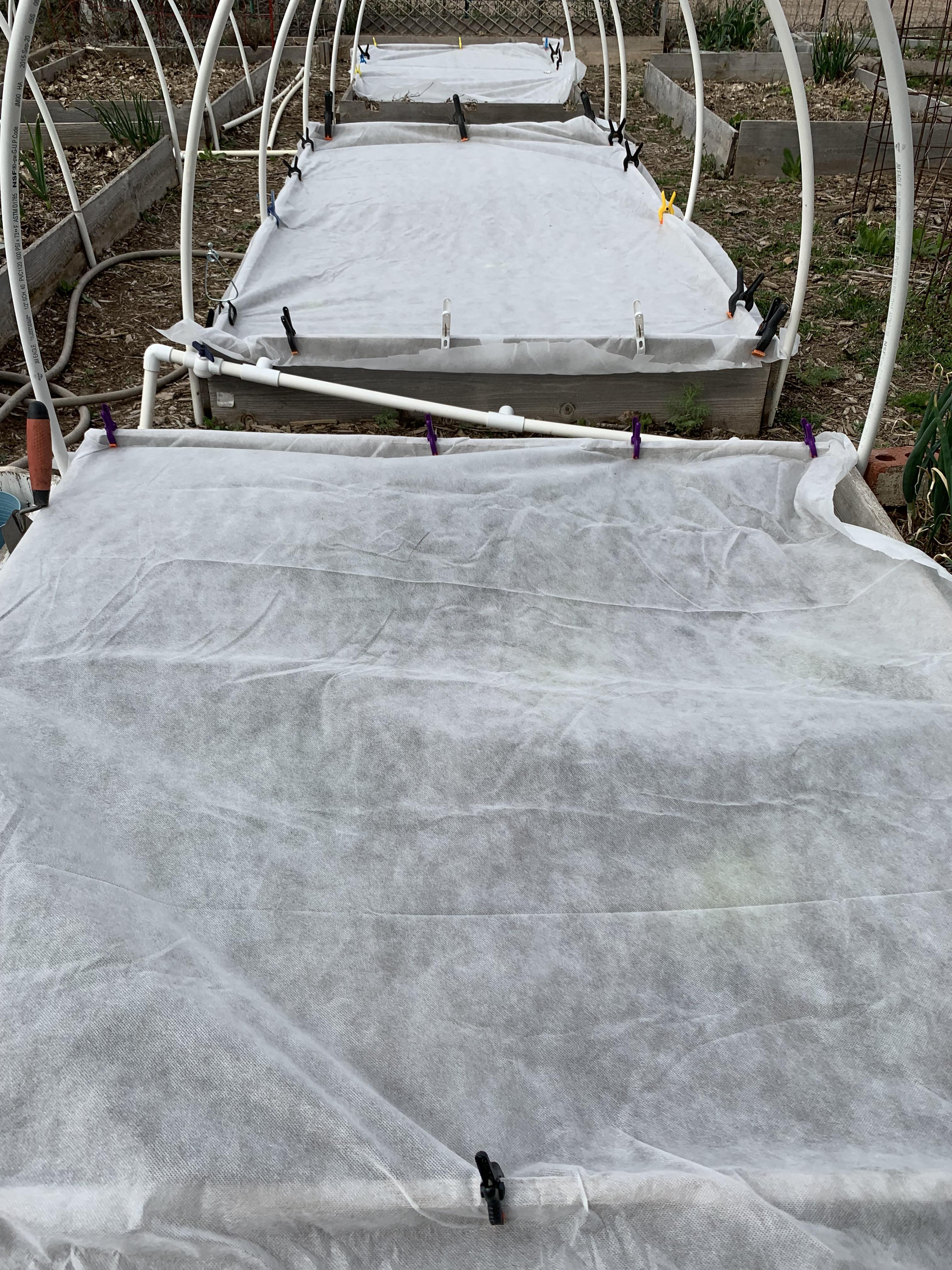 Frost Blankets Deployed! r/vegetablegardening
