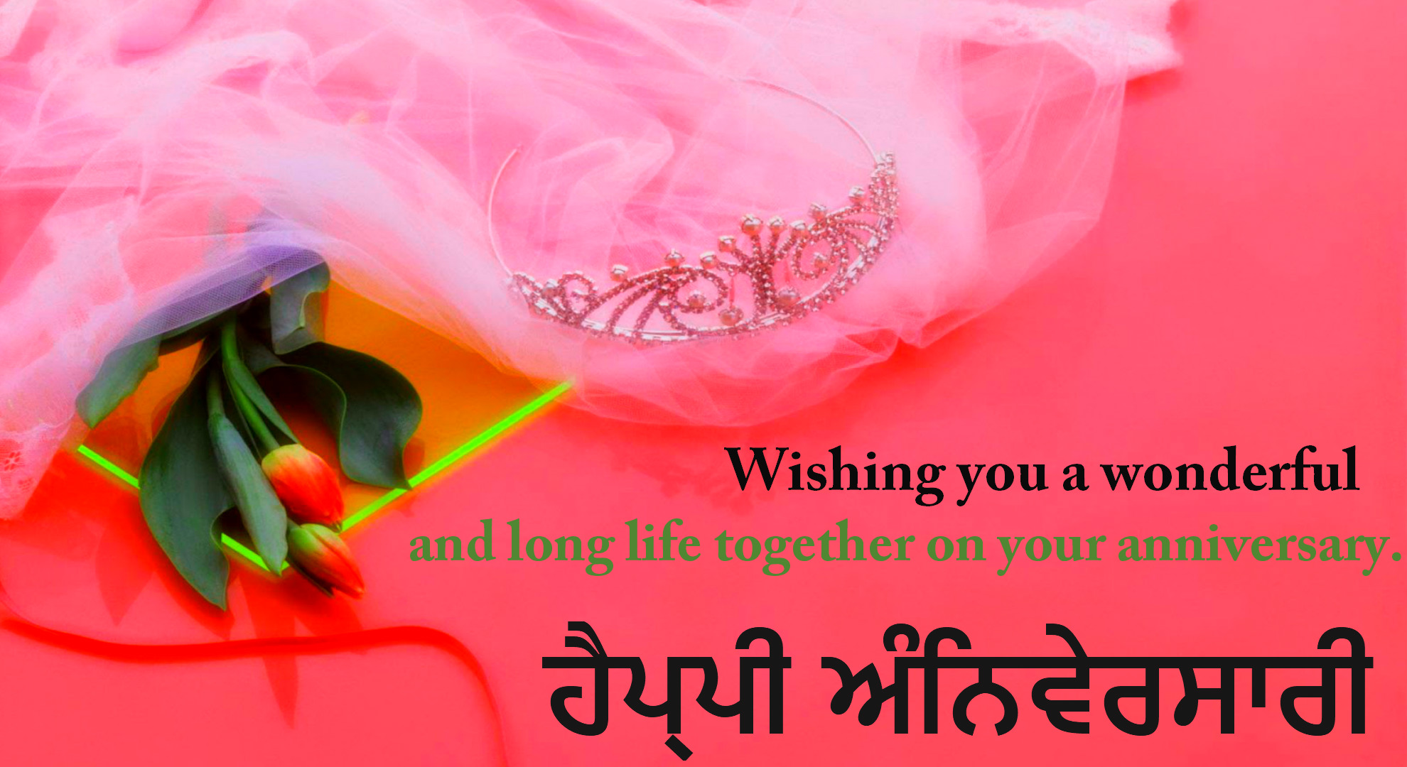 New Wishes Images (u/newwishesimages) Reddit