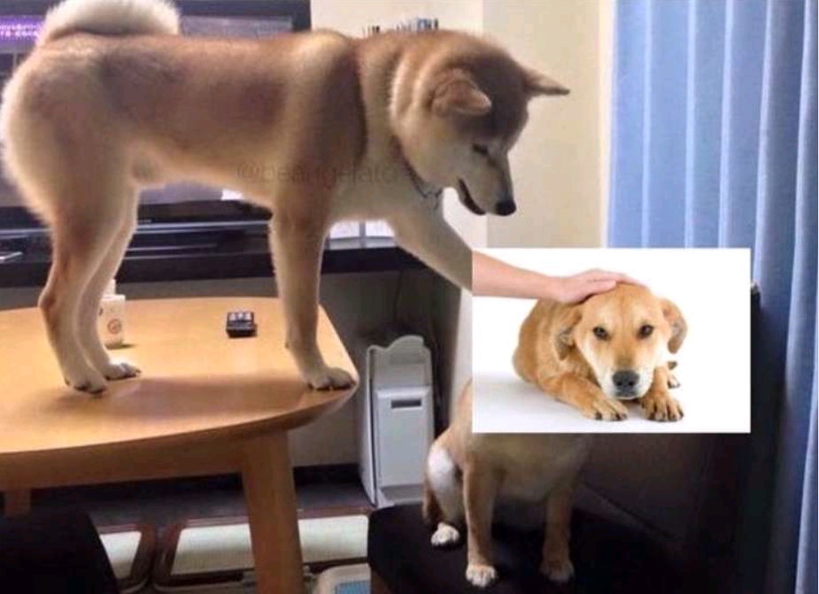 Another dog petting meme r/PewdiepieSubmissions