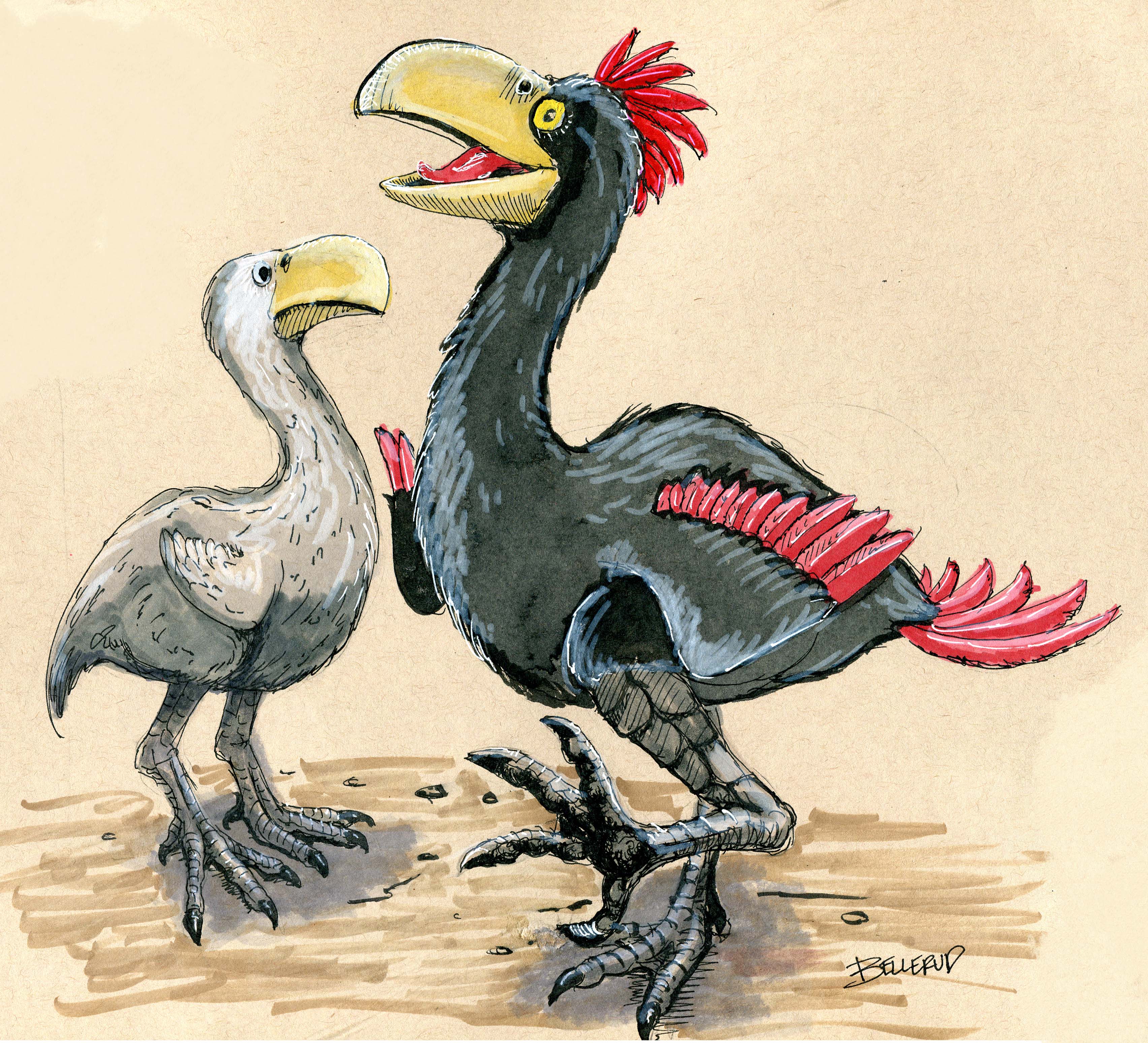 Gastornis - Reddit Post And Comment Search - Socialgrep 3097_x_3408_jpg