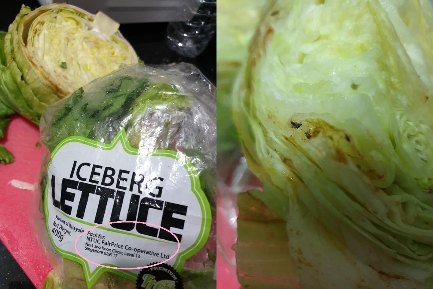 Lettuce bought from Yishun NTUC Fairprice appeared rotten and contained