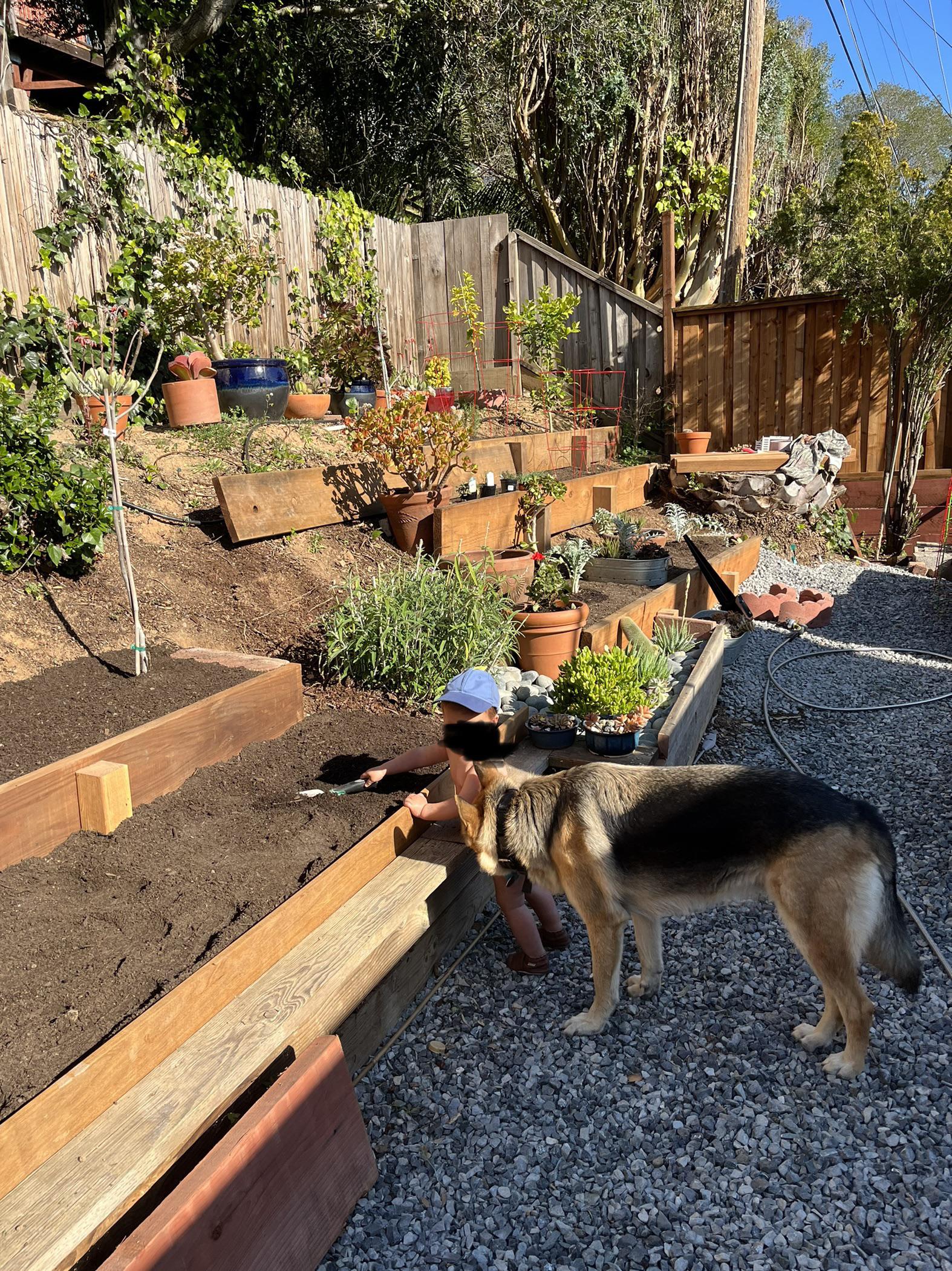 Best gardening helpers r/gardening