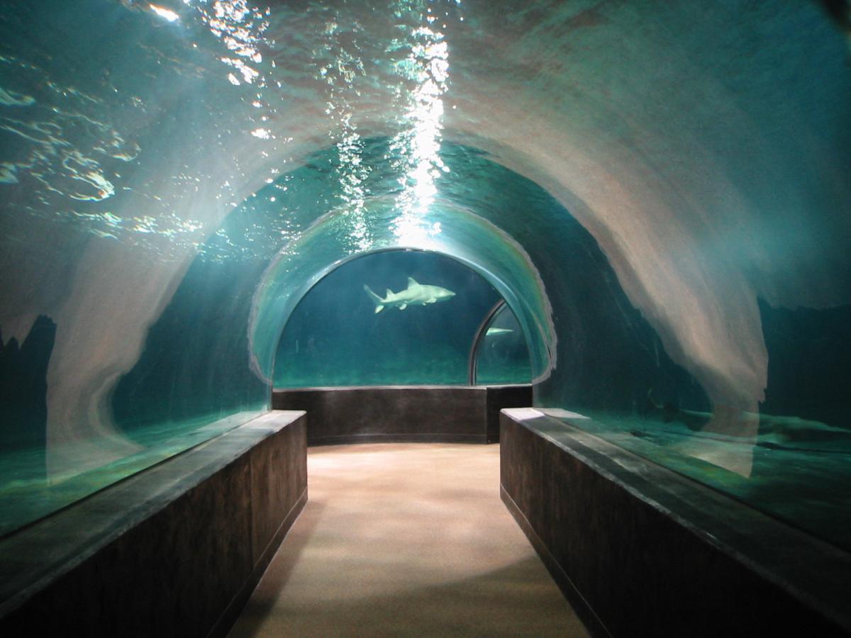 Oklahoma Aquarium in Jenks, OK. I found this pic on Google, the single