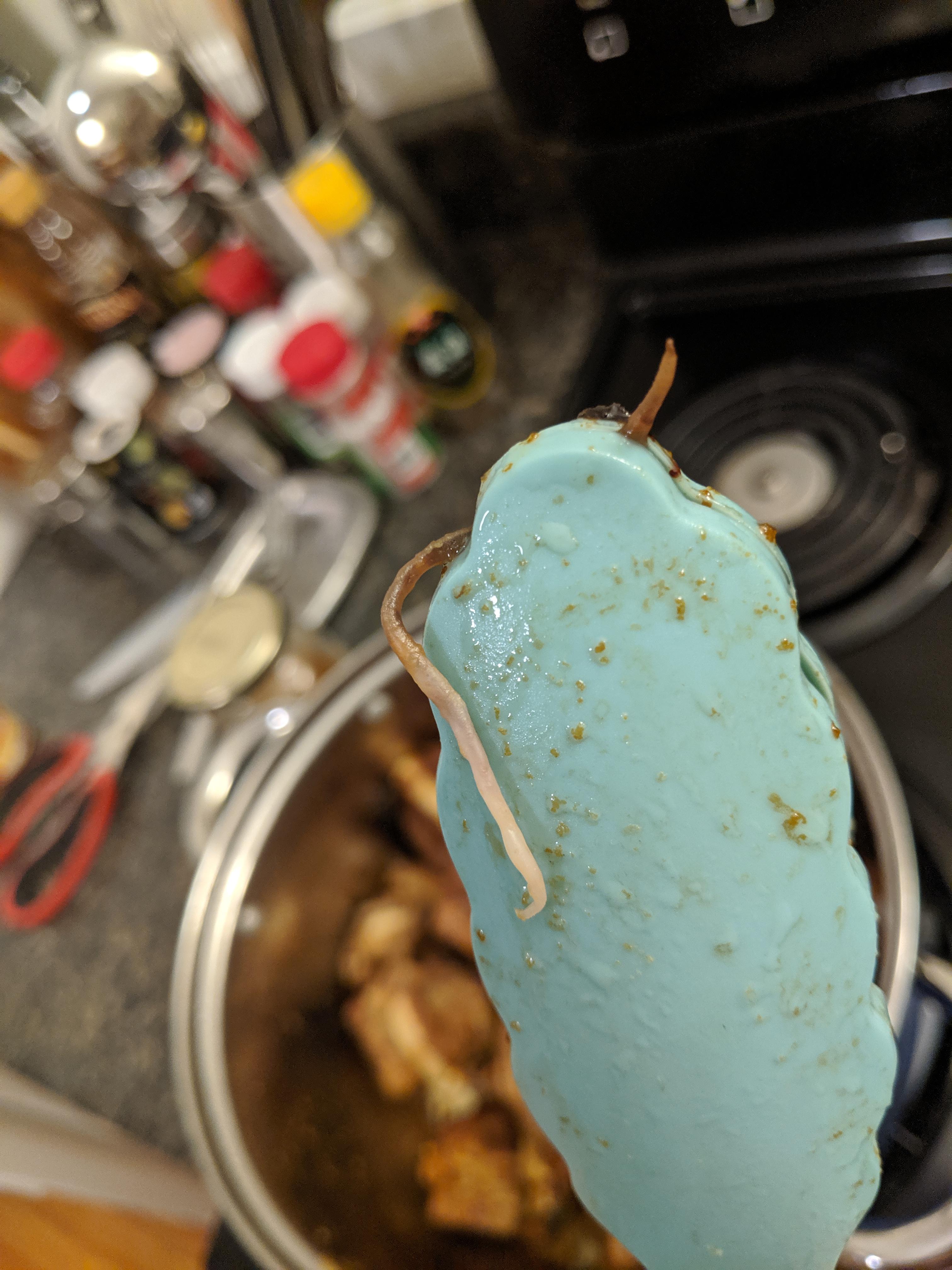 I was cooking pork ribs yesterday and this was hanging out of one. When