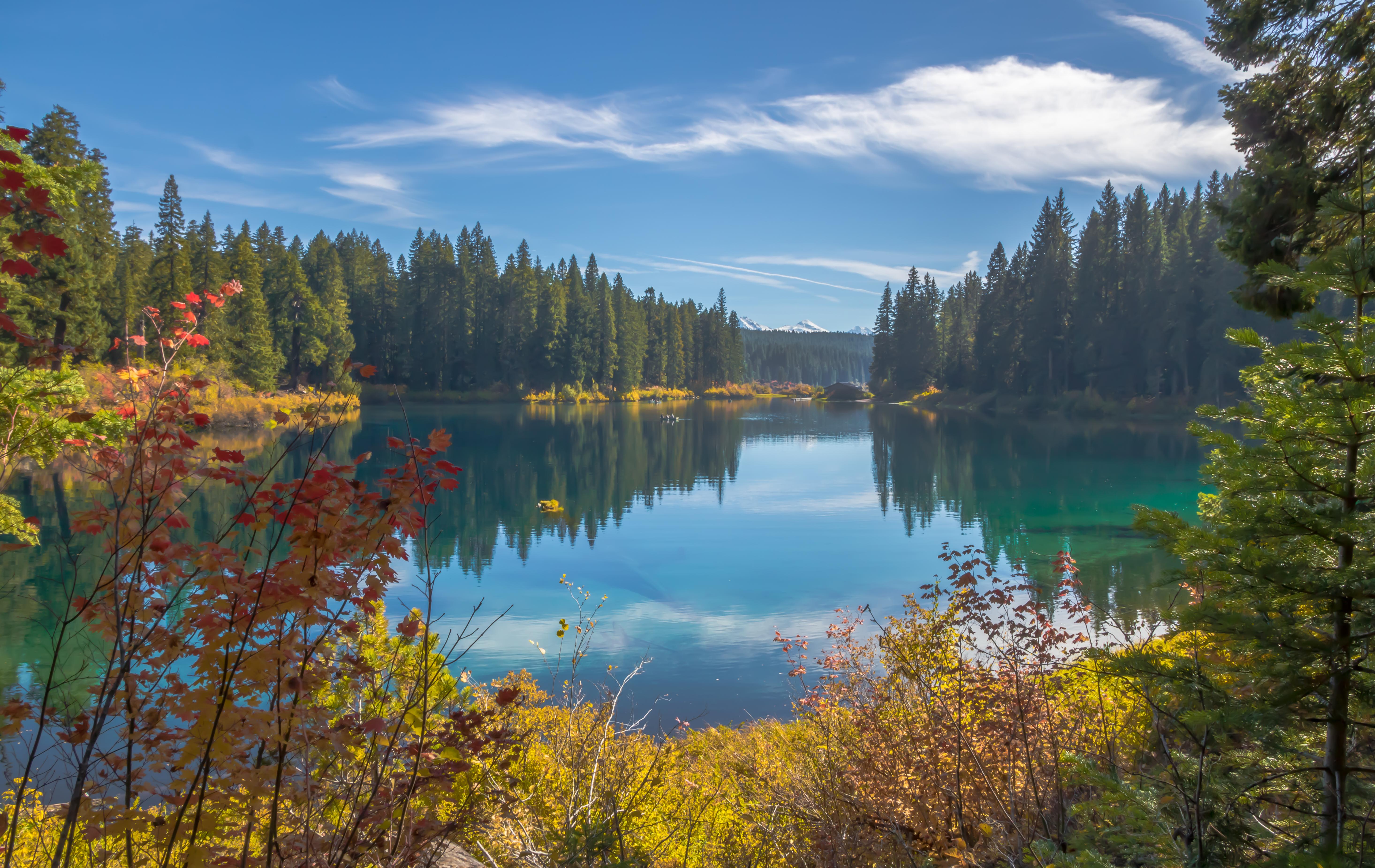 Autumn at Clear Lake, Central Oregon (OC)[3703x5863] r/ImagesOfOregon