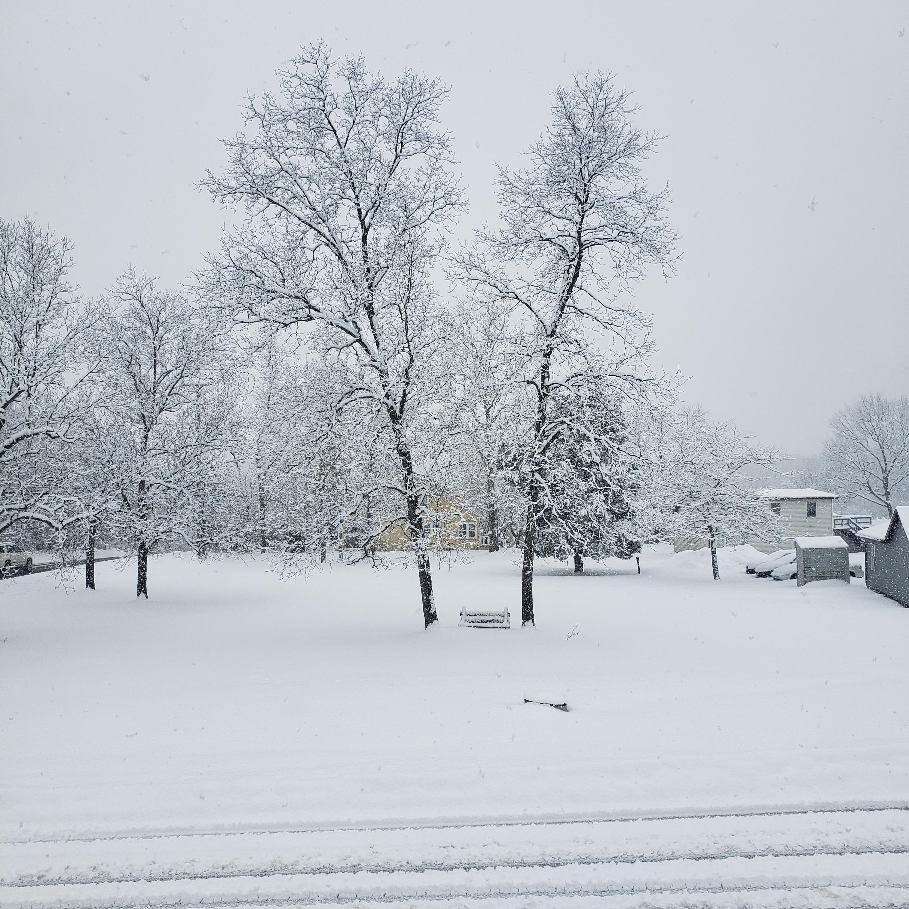 Heavy Snow Green Lane, PA r/WeatherPorn