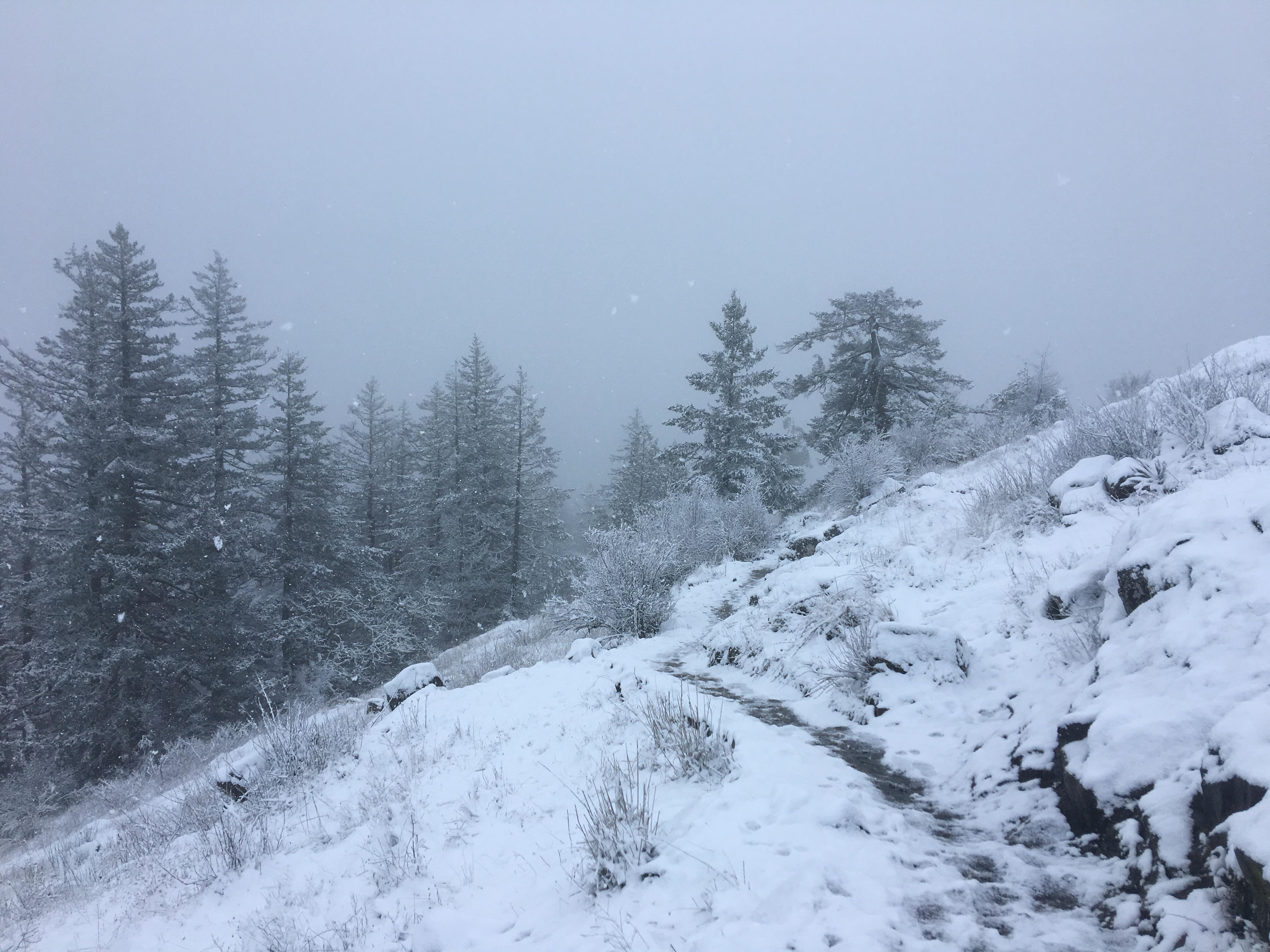 Spencer’s Butte Sunday morning. Eugene