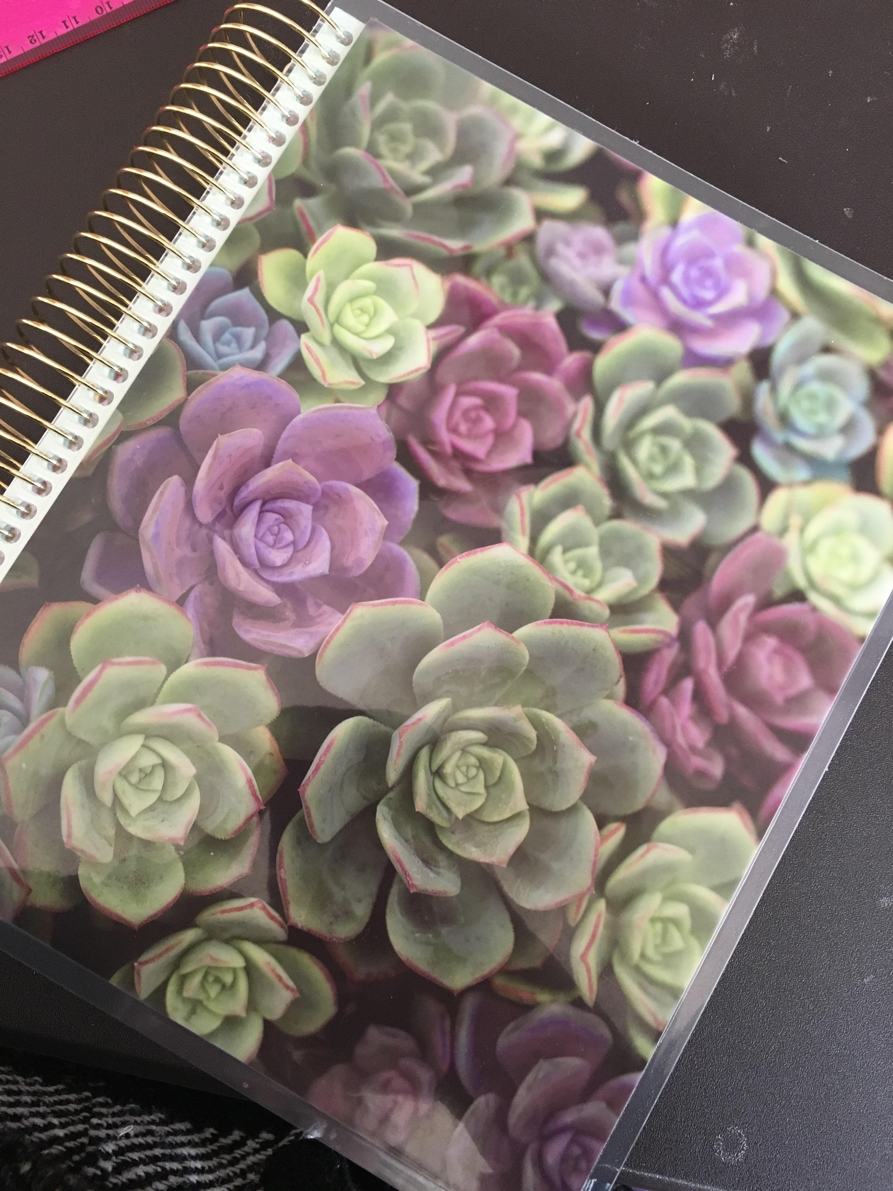 Succulent planner I got from Michaels craft store! I'm OBSESSED r