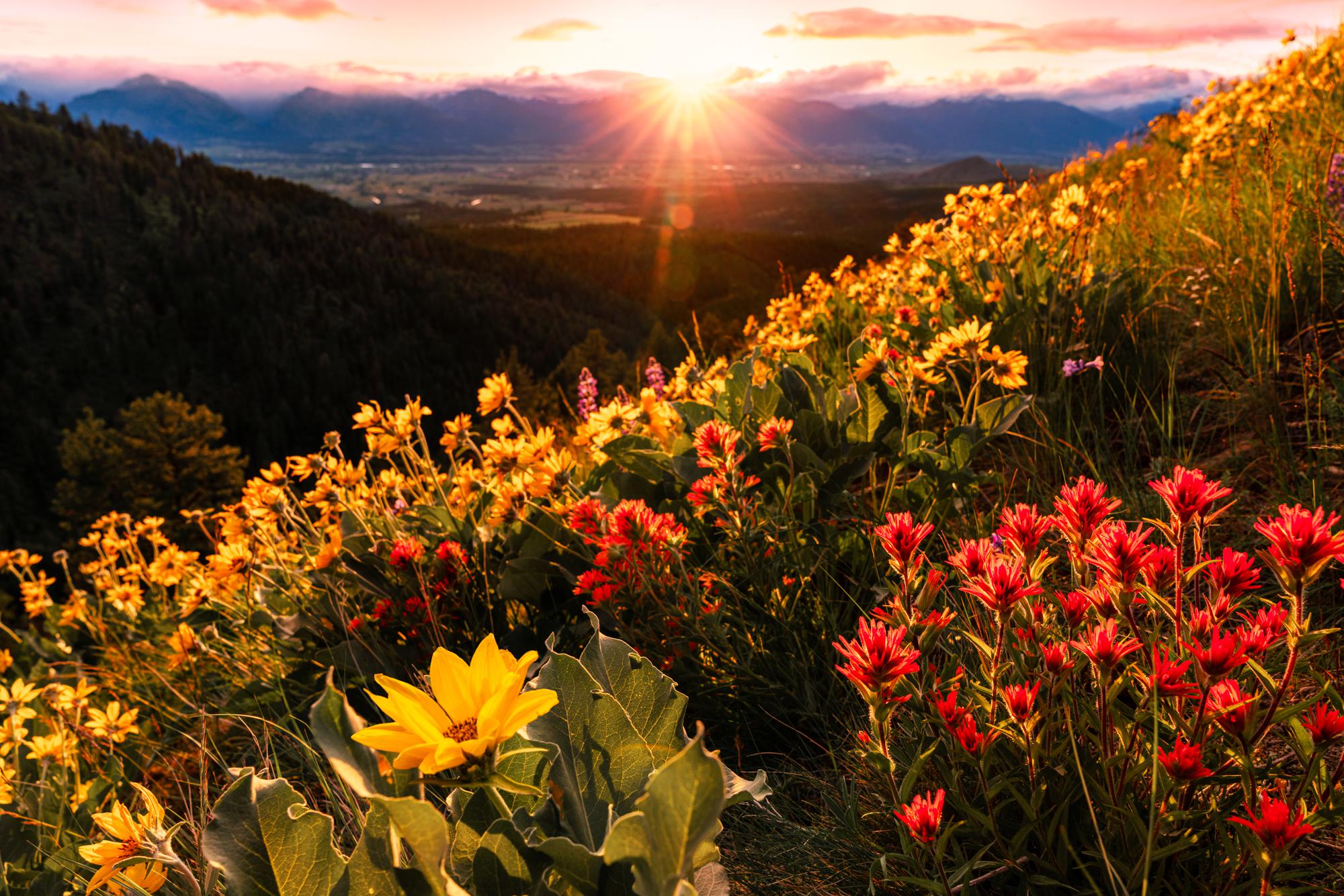 Bitterroot Valley, Montana [1334 x 2000] OC & IG HazerLive r/EarthPorn