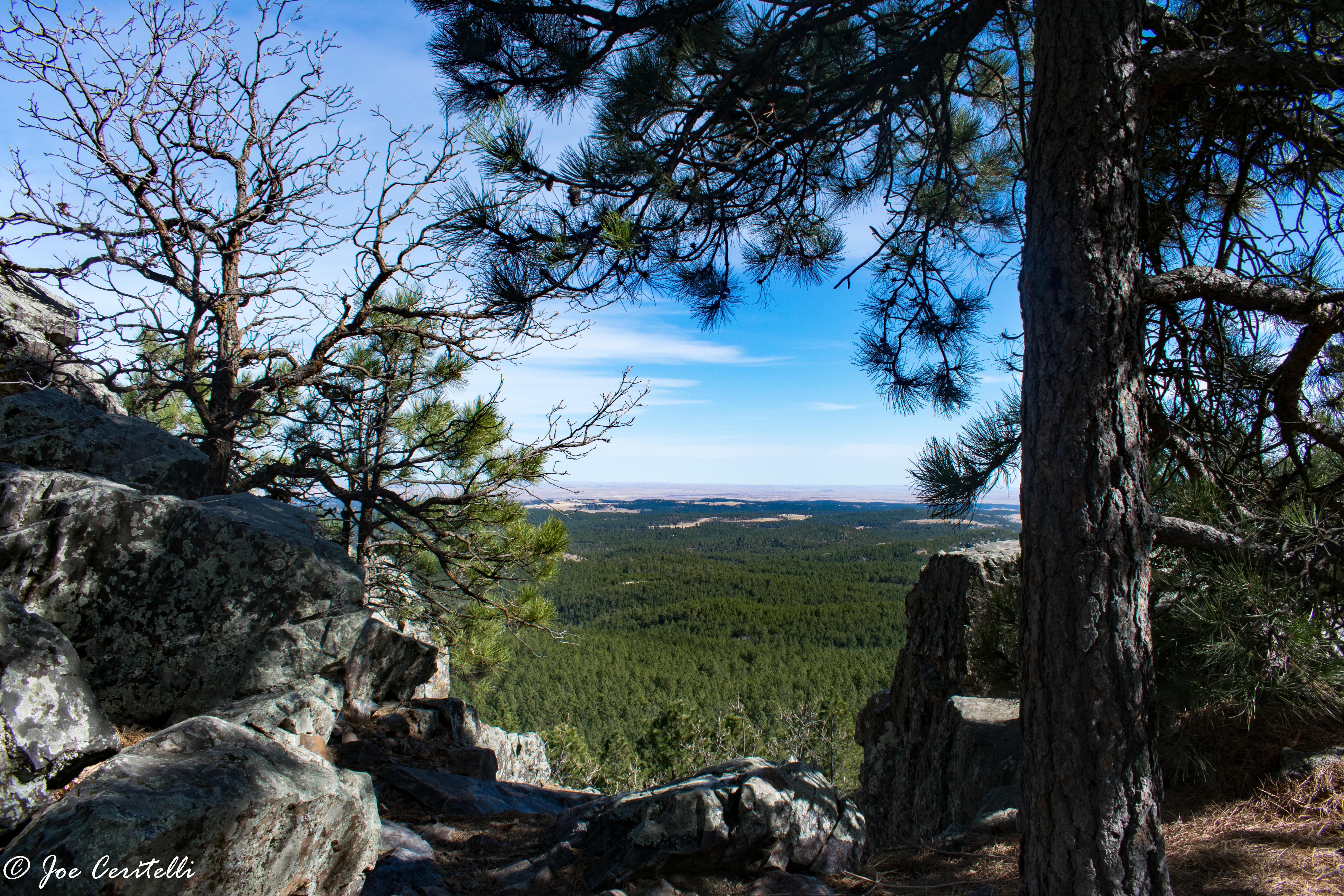 Mountain, Forest and Plains of South Dakota all in one shot Black
