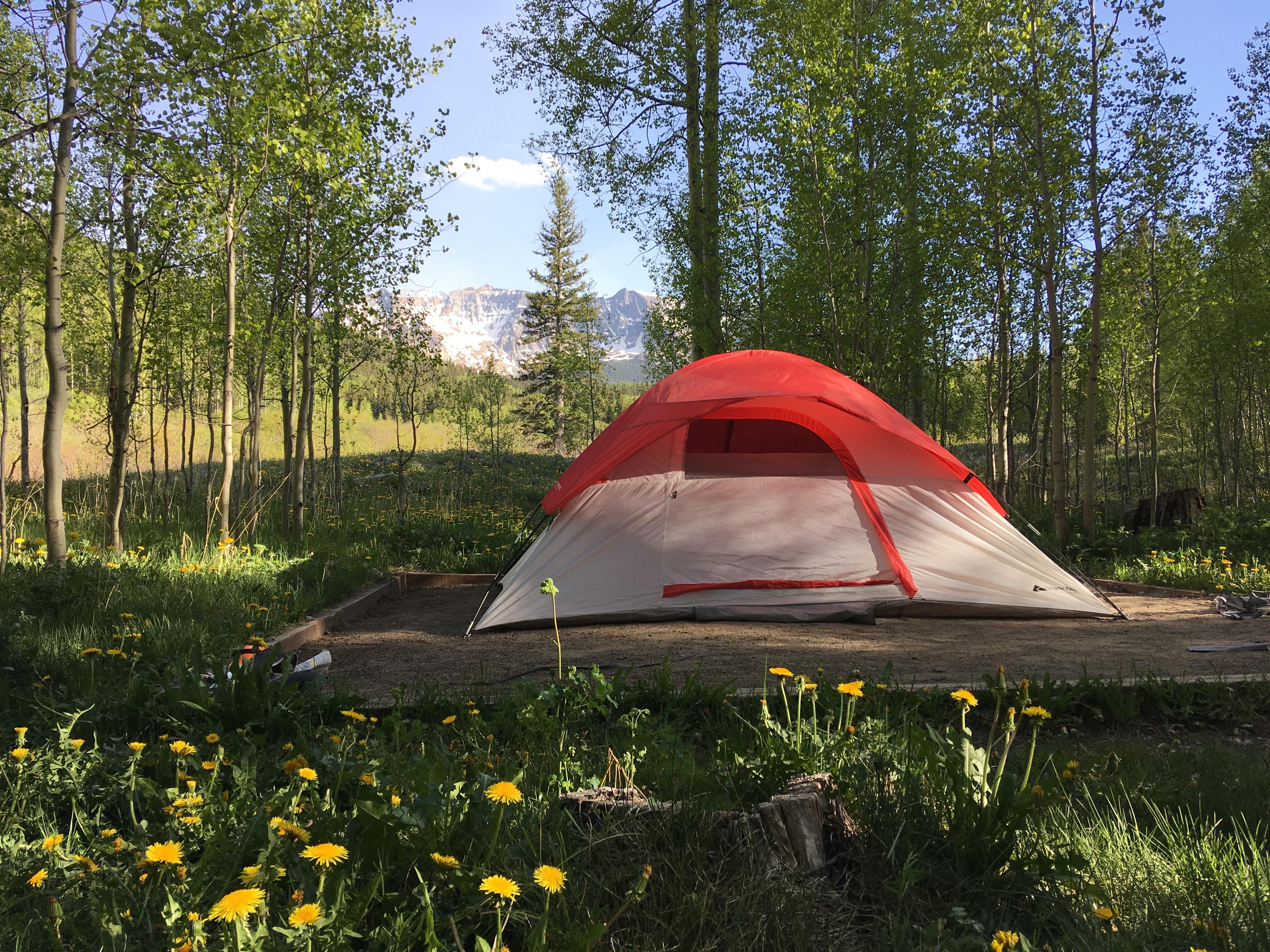 Camping in the National Forest, Matterhorn campground, at 10000 ft. Prettiest