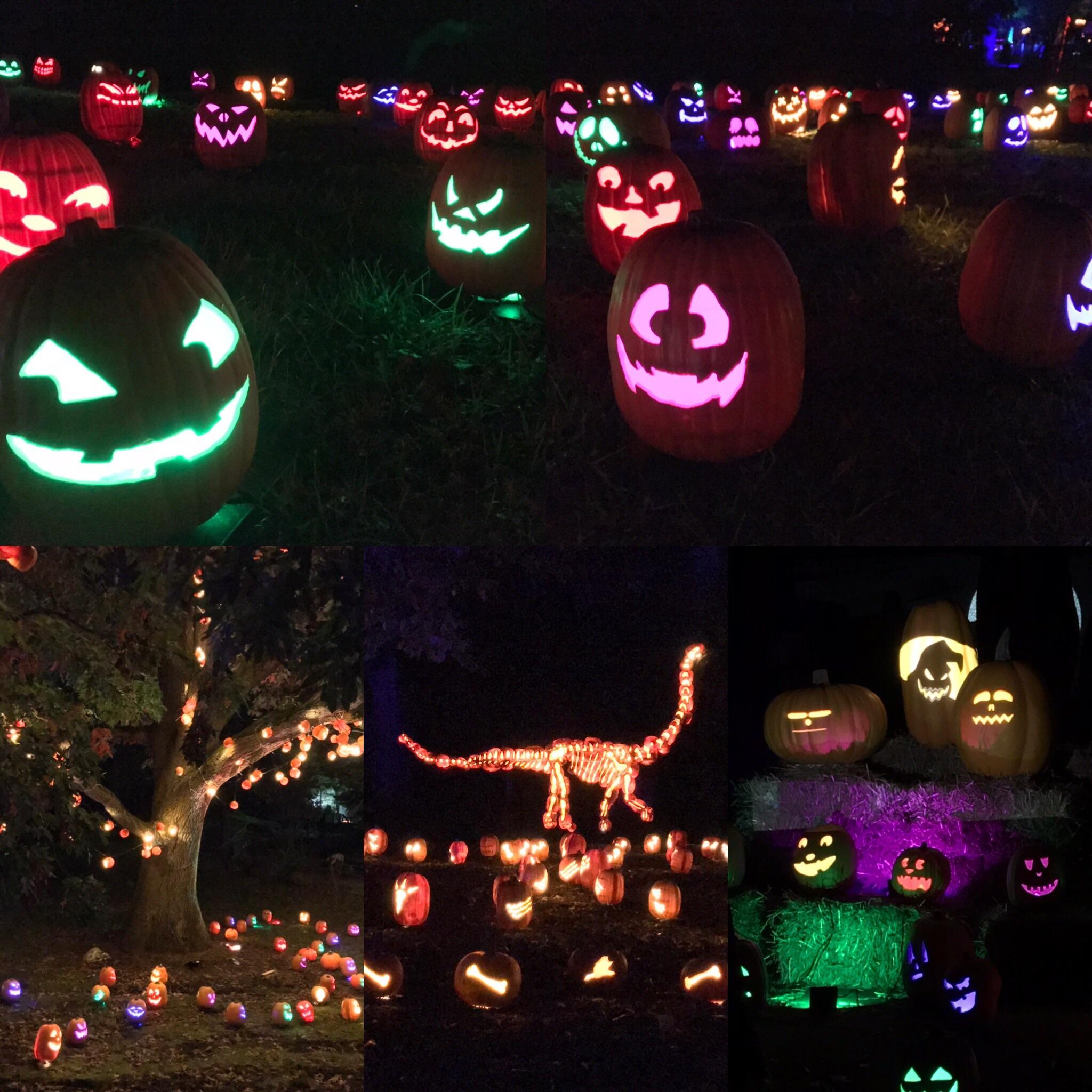 List 97+ Pictures Jack O Lantern Jamboree Digital Download Completed