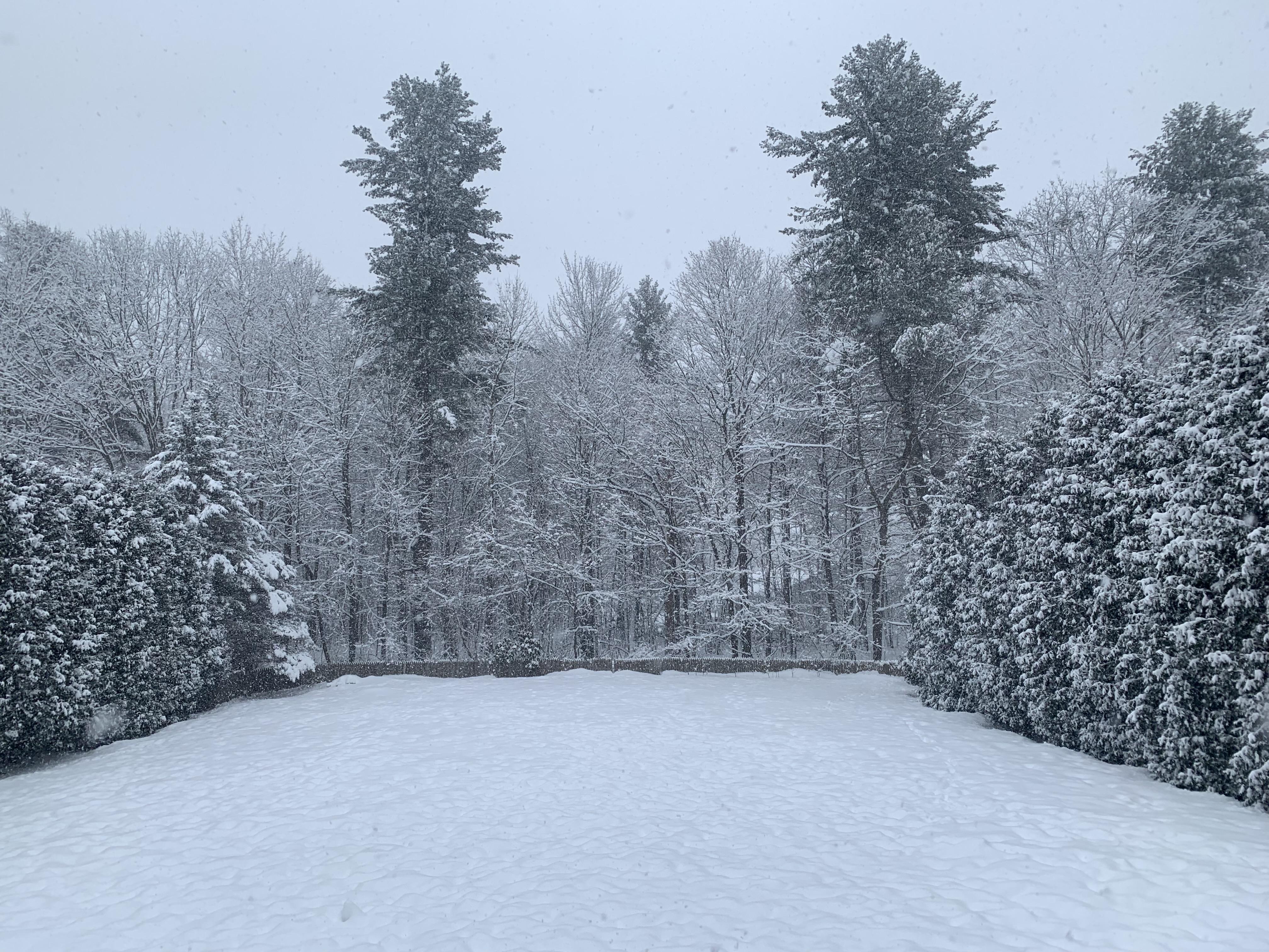 My winter wonderland in Buxton this morning. r/Maine
