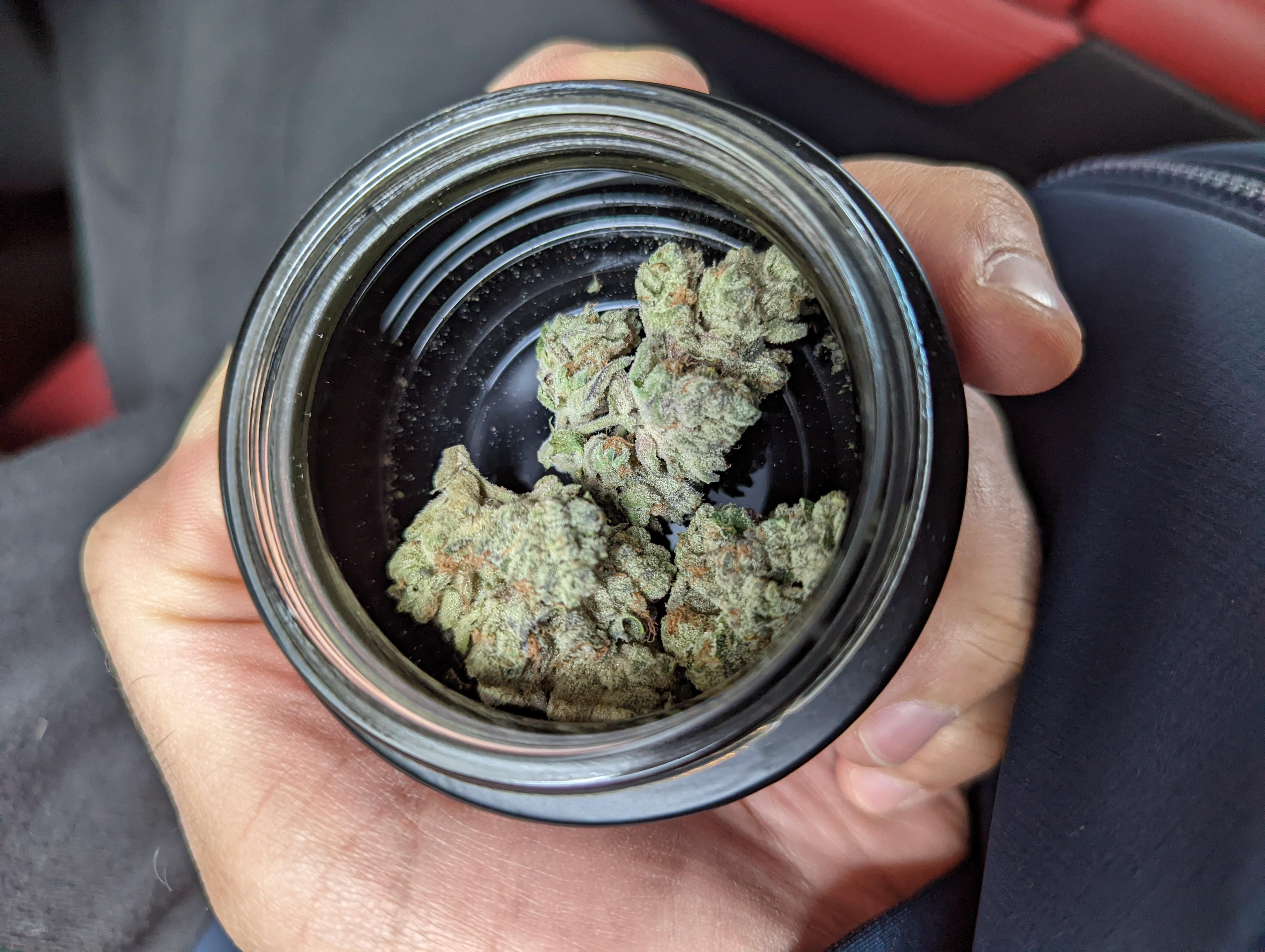 Apple Cobbler Rythm Curaleaf Morton r/PaMedicalMarijuana