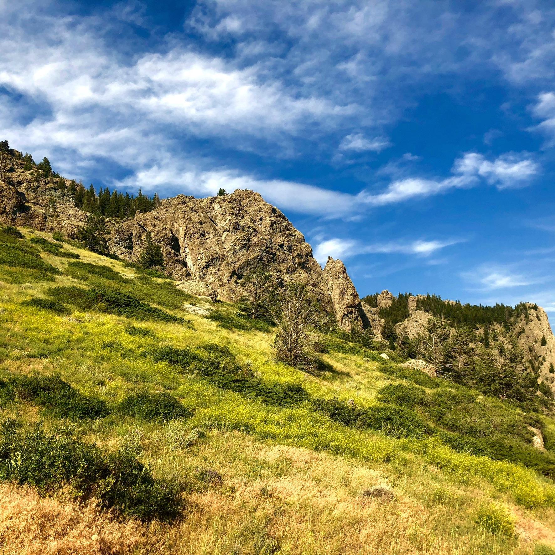 Summertime in Montanaland... r/Montana