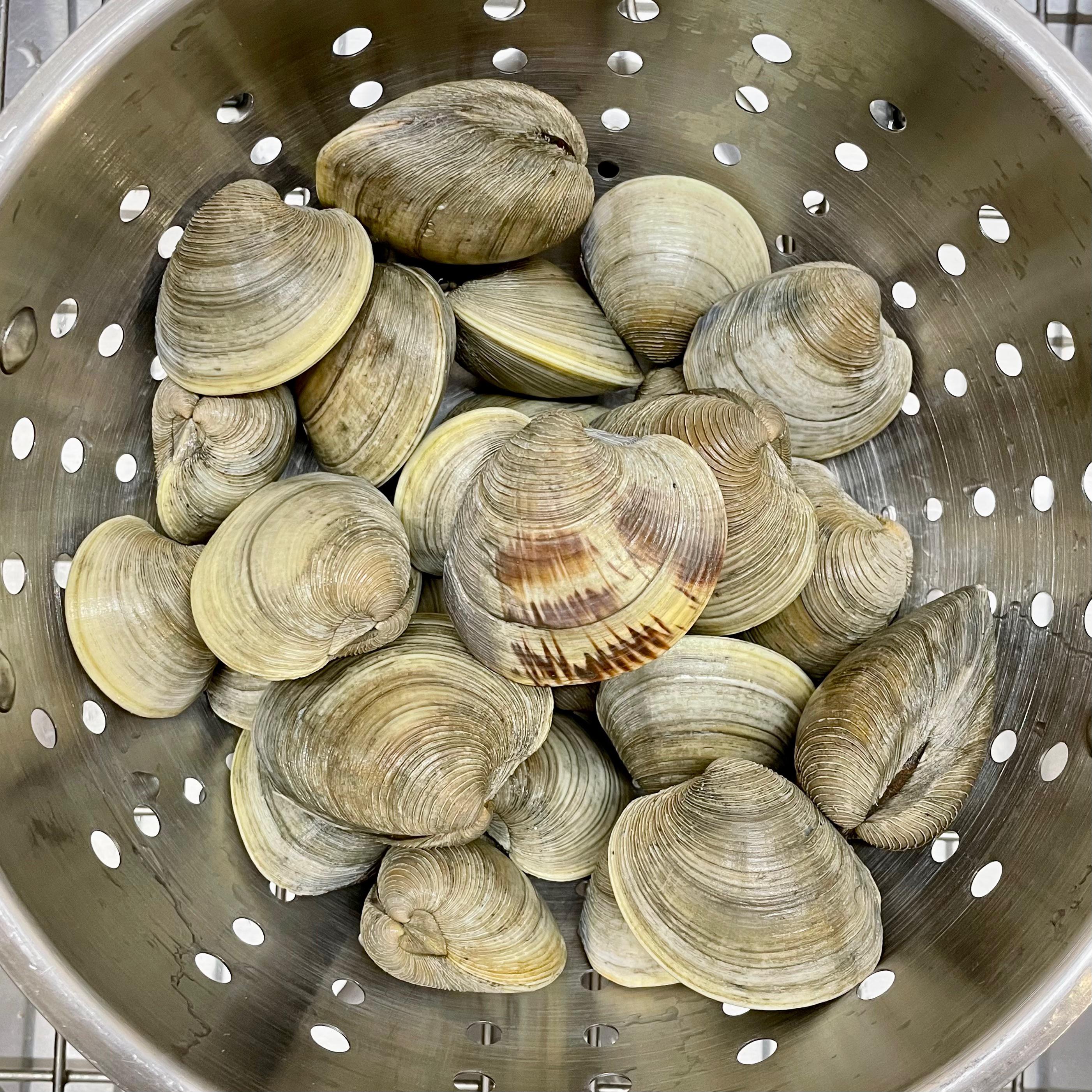 Crazy Fresh Maine Clams! r/Maine