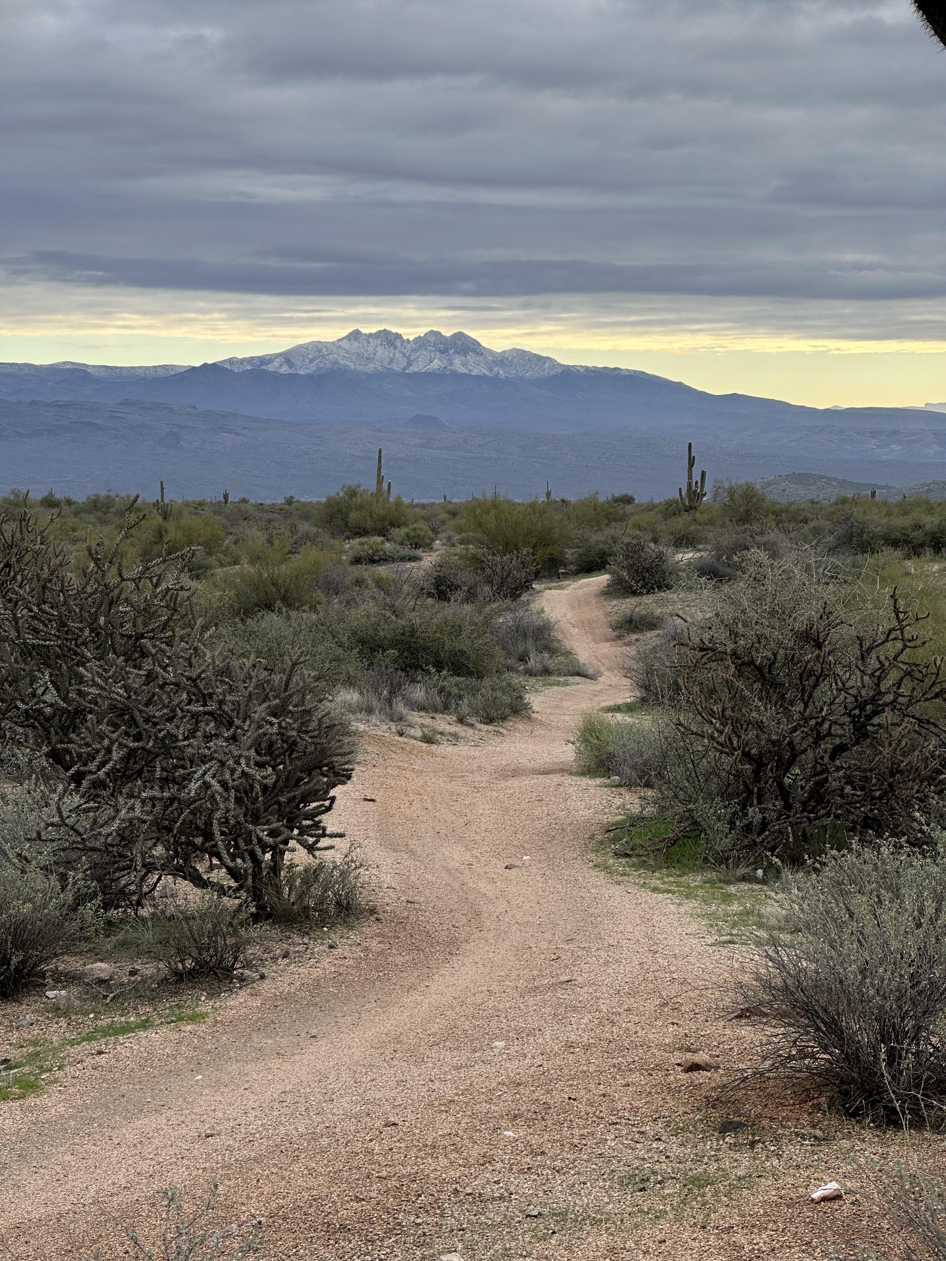 This morning from Pemberton trail at McDowell Mountain Regional Park