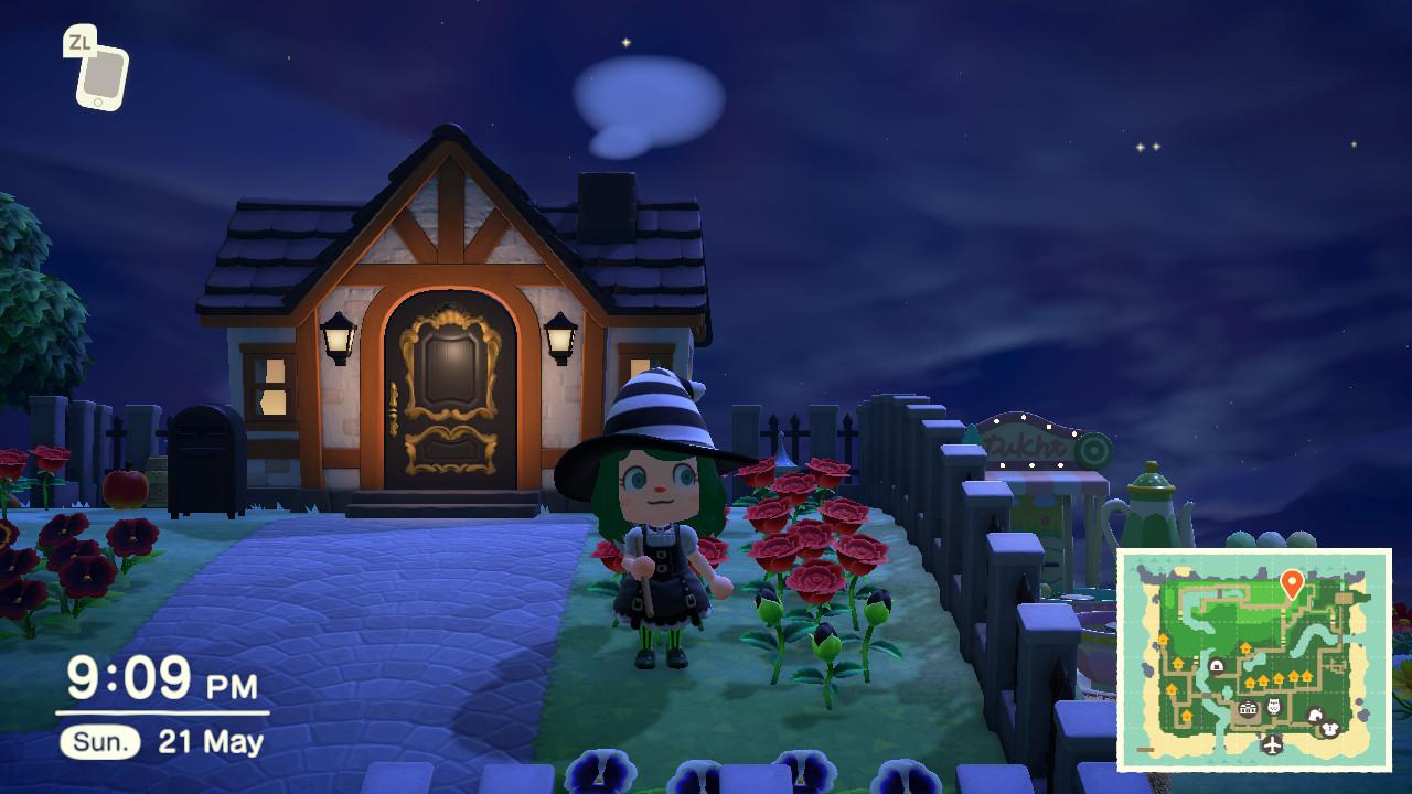Finally a black rose! (My very first one on ACNH) r/AnimalCrossingNewHor