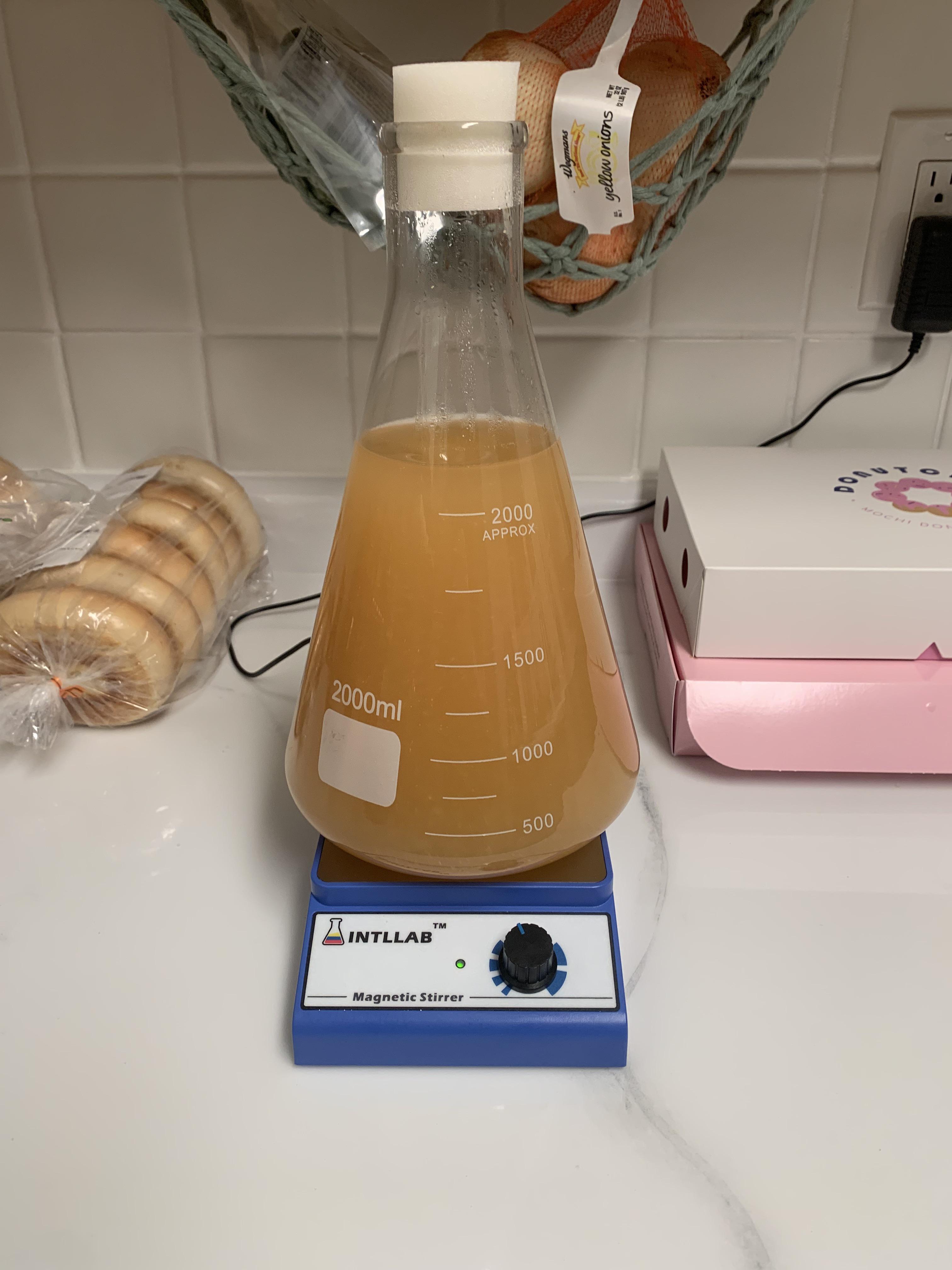 Completely unnecessary yeast starter for a batch of cider. r/cider