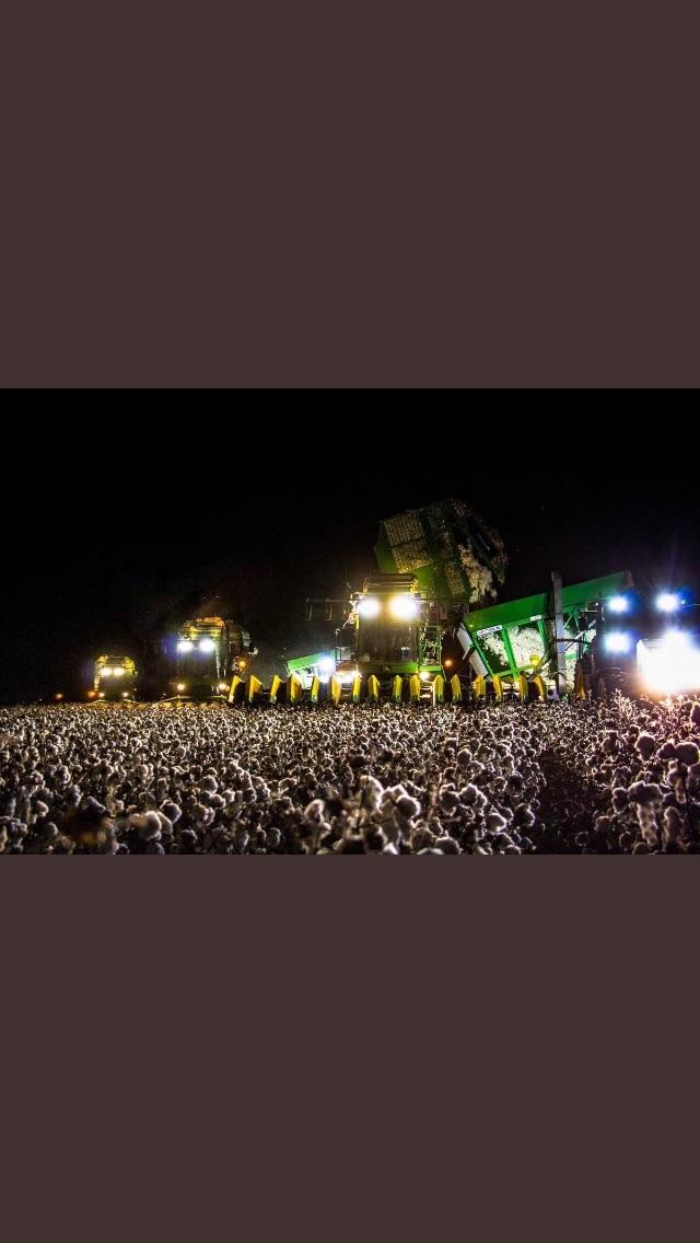 This cotton field being picked at night looks like a concert r/Pareidolia