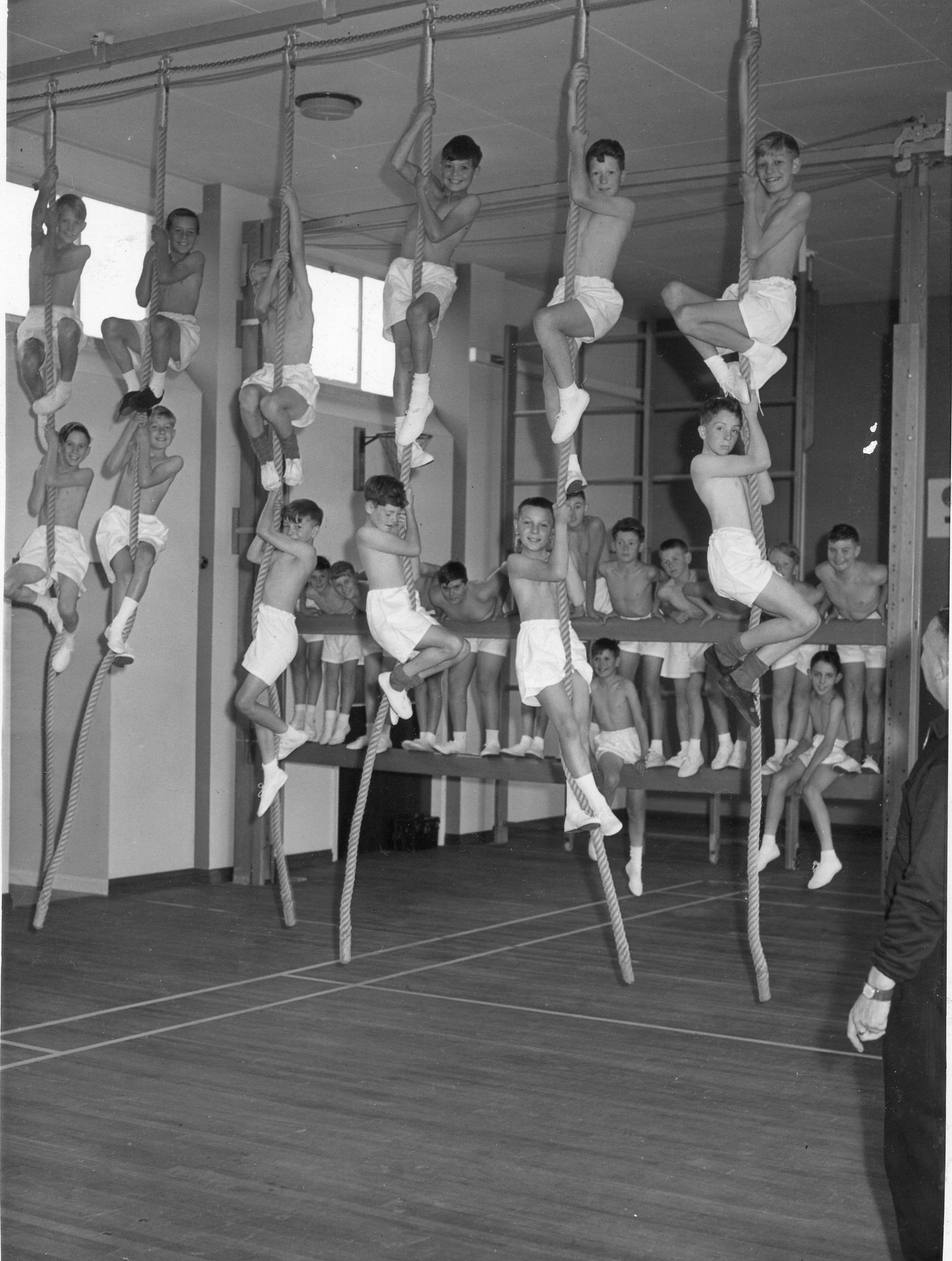 What PE classes used to look like. 1960. r/OldSchoolCool