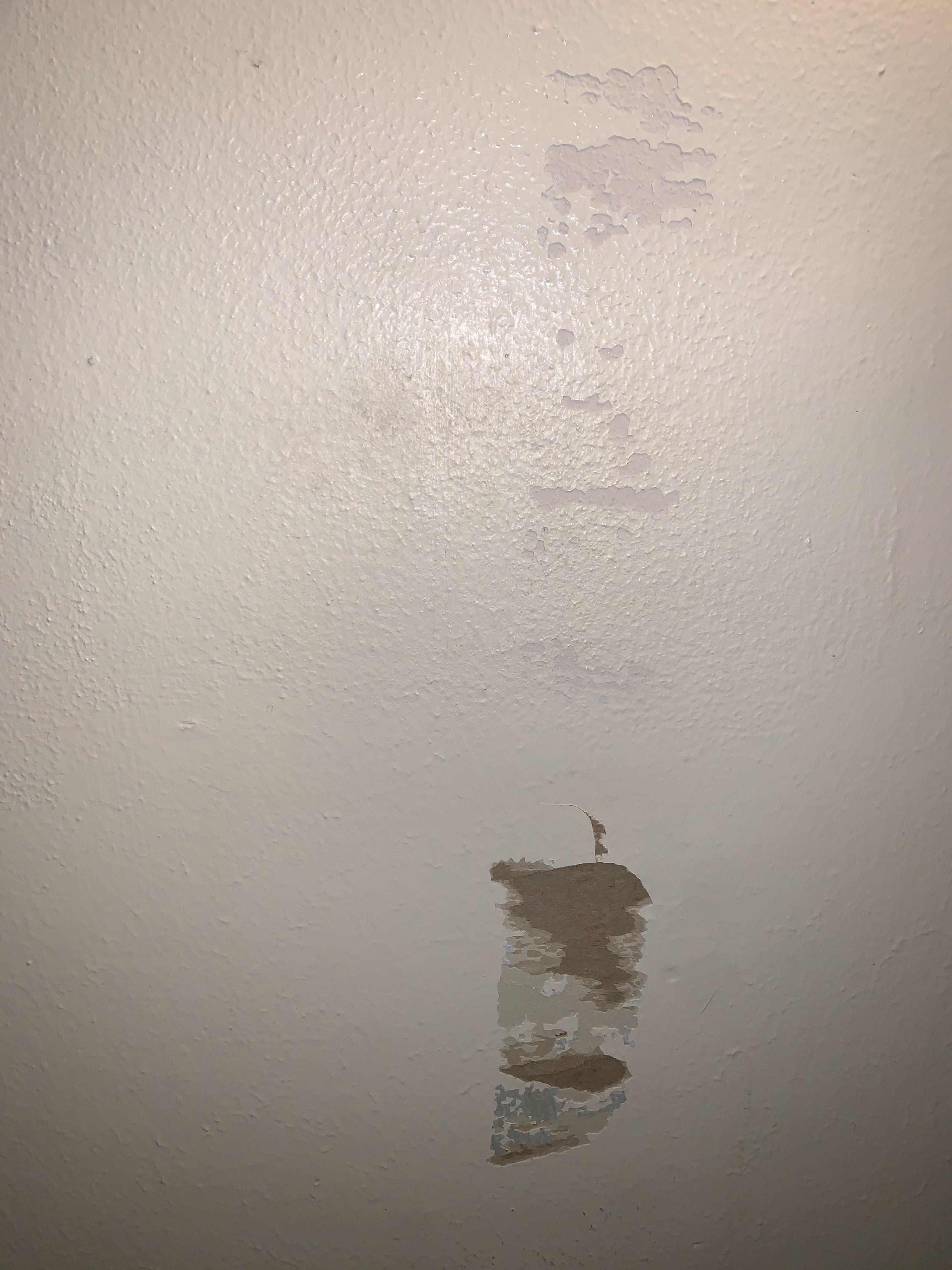 Adhesive peeled paint off wall r/fixit