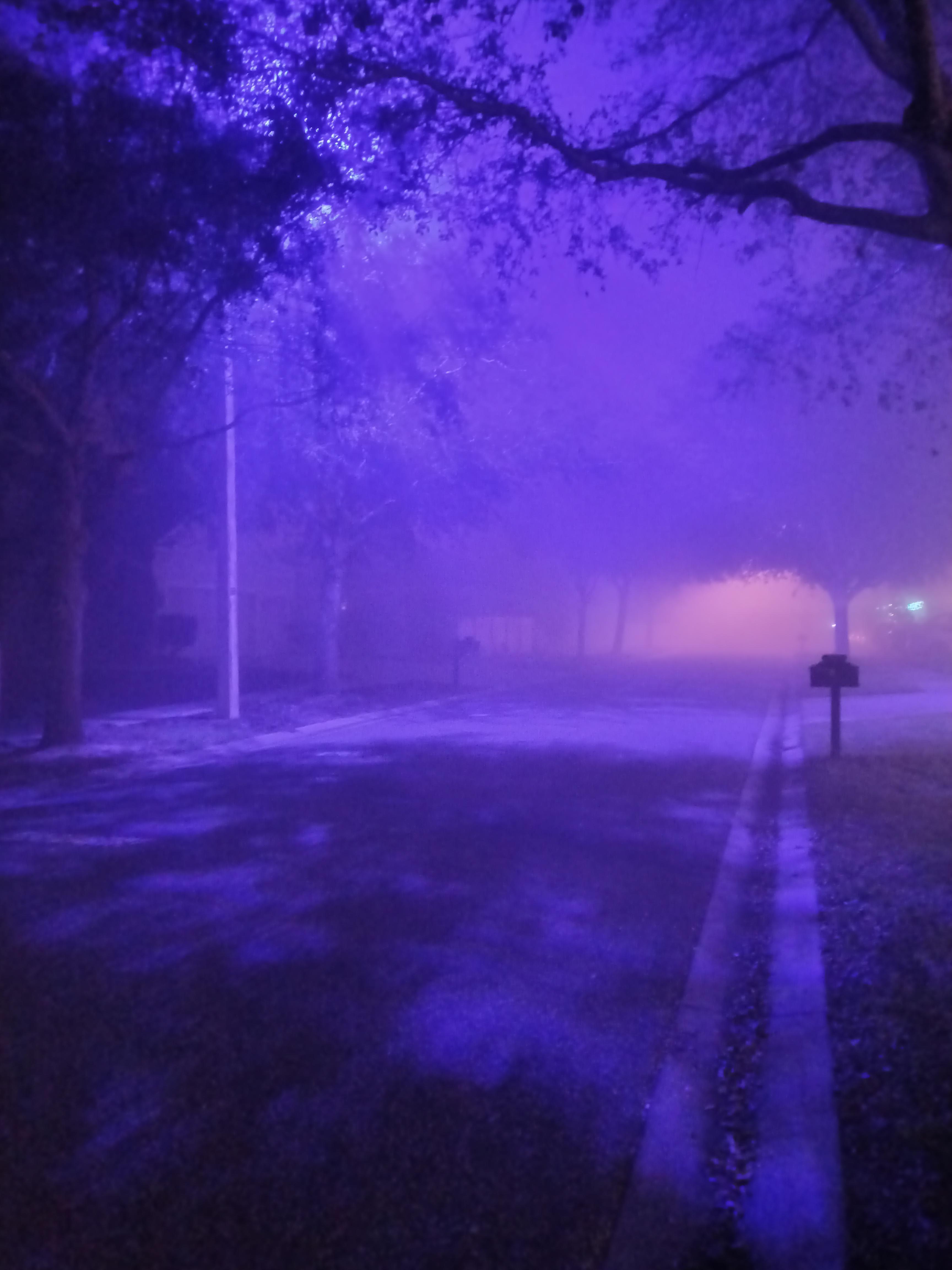 Tampa FL purple street lights and mixture of fog on New Years eve. What
