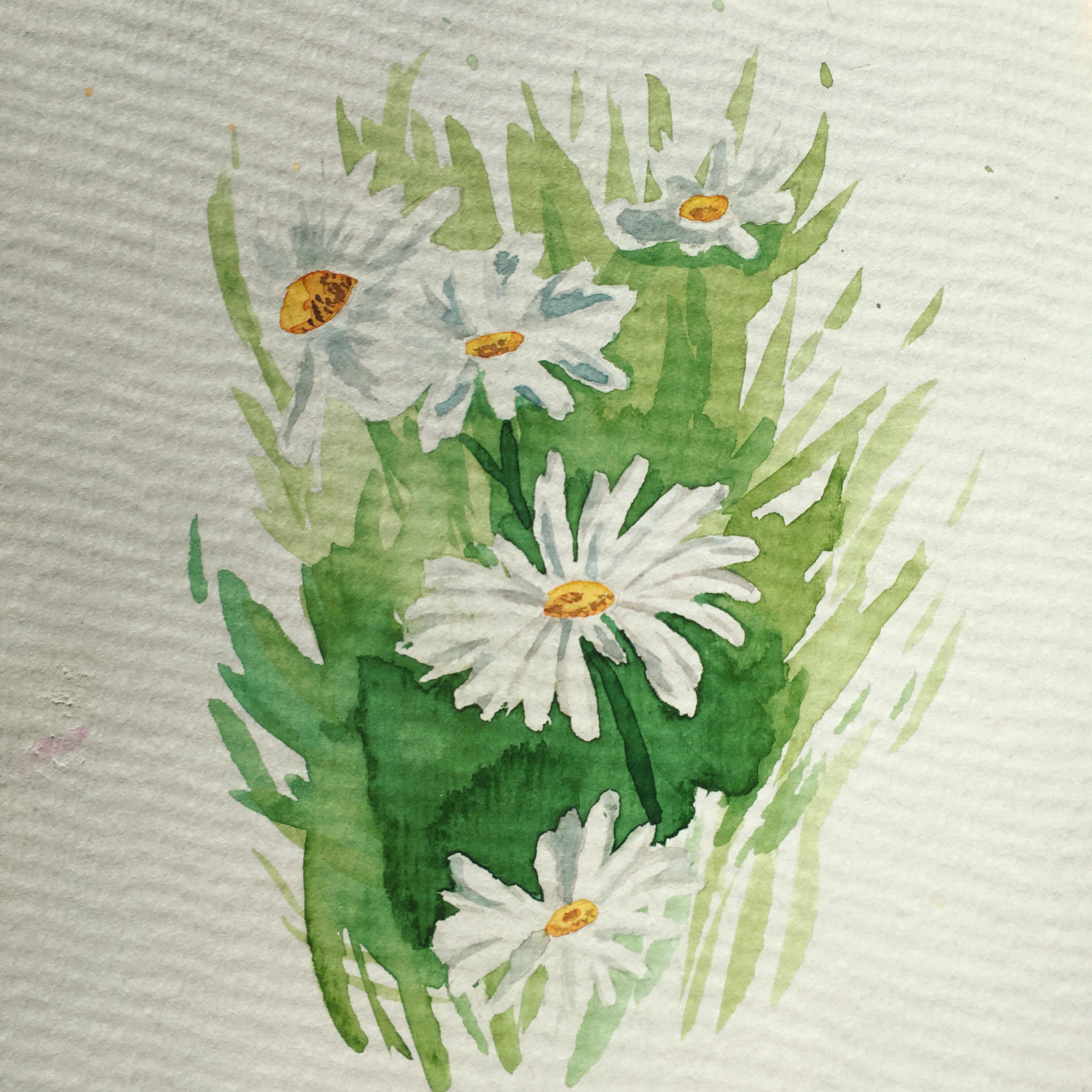 some simple daisies i did r/Watercolor