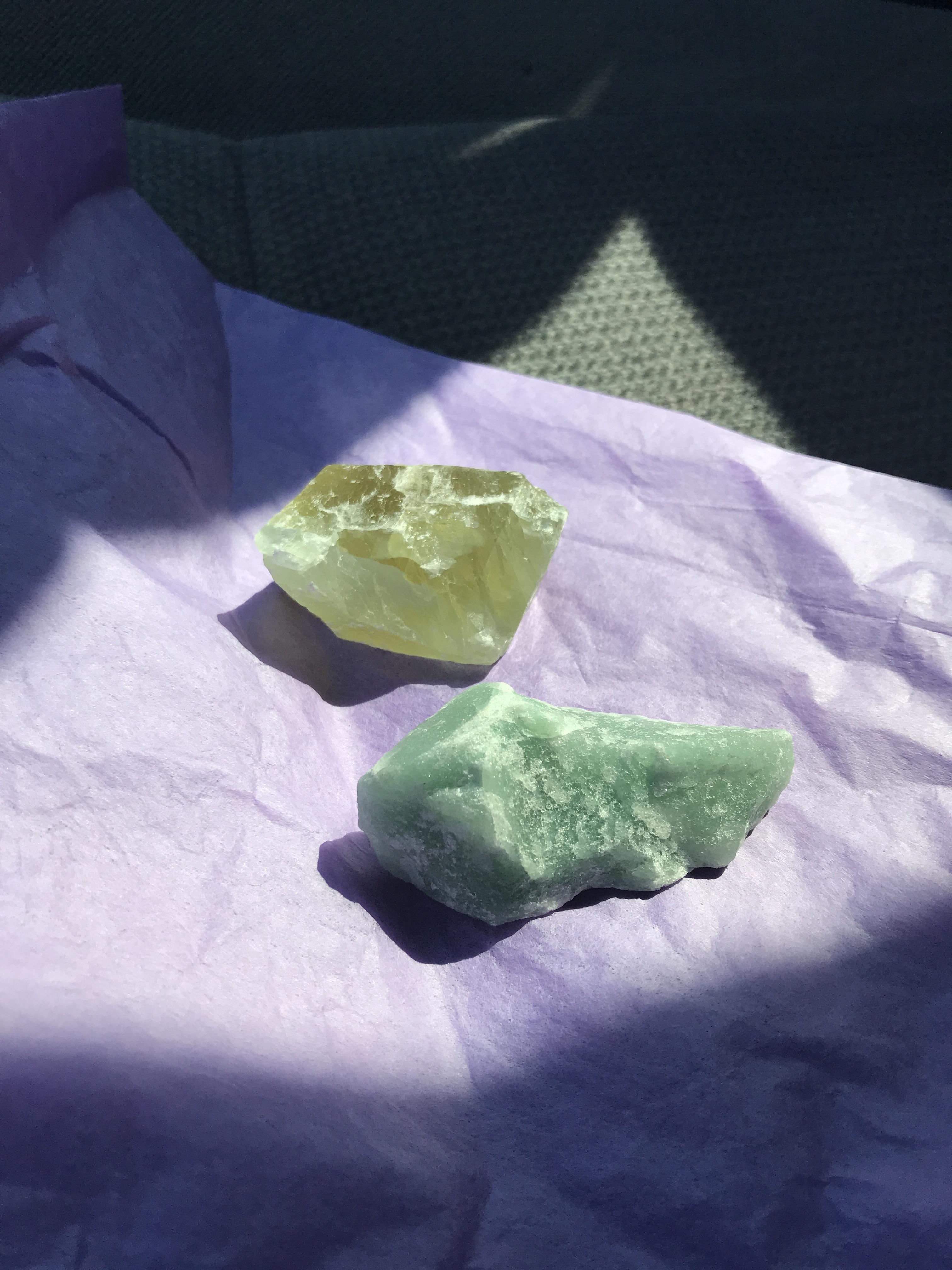 just got these from the farmers market, can someone identify for me