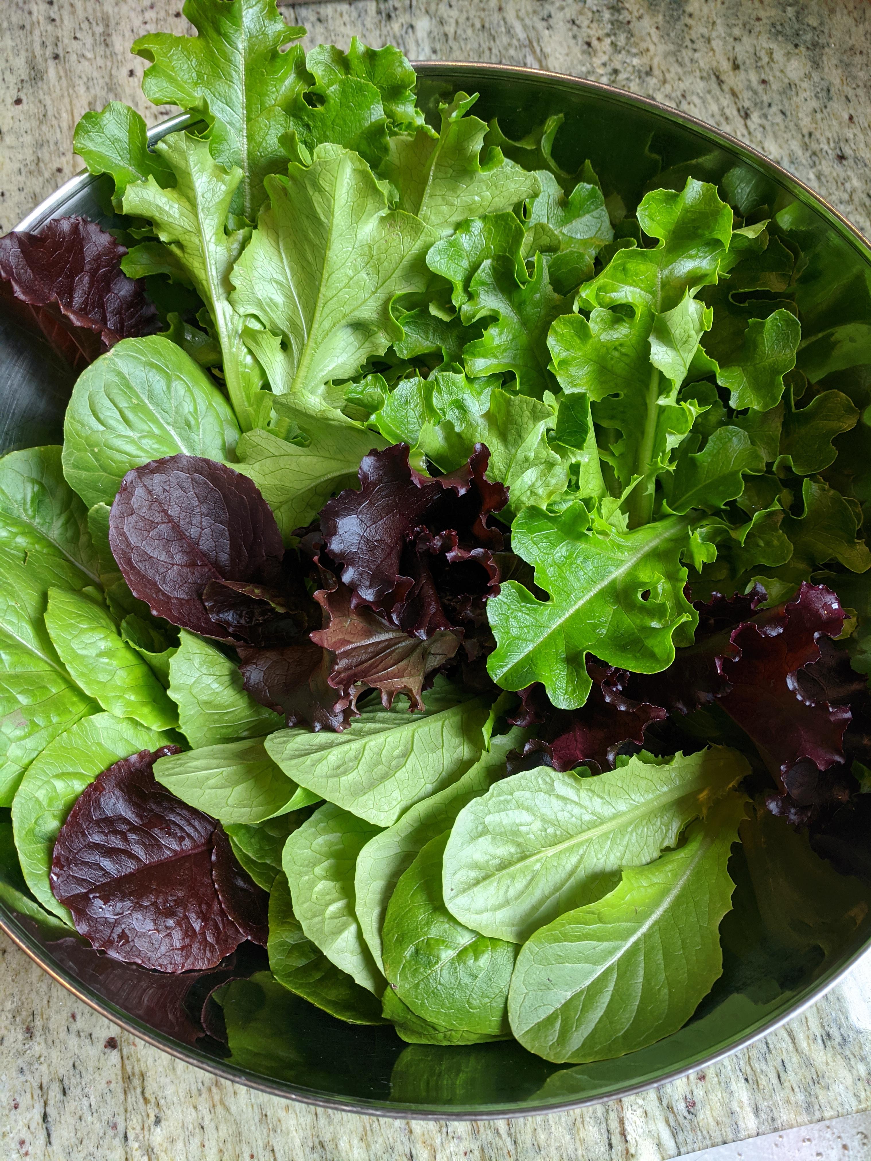 Some mixed greens lettuce from the garden, incredibly tasty and a
