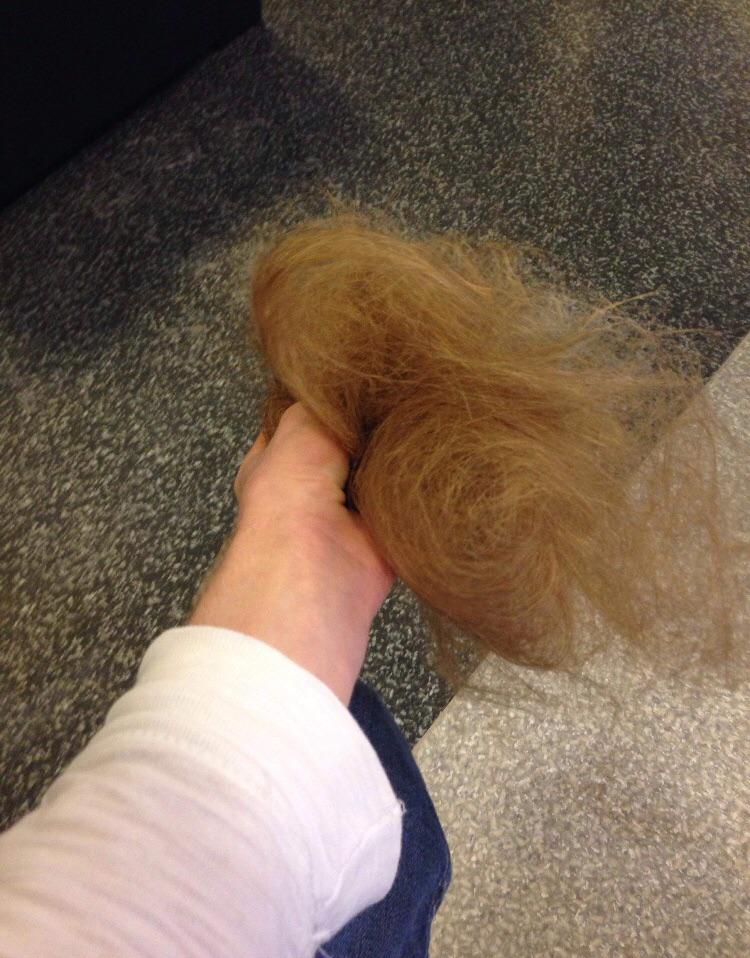 So the hairdresser just thinned out all my hair without my permission