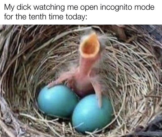 Blue balls hurt u/Levitating_eyeball07