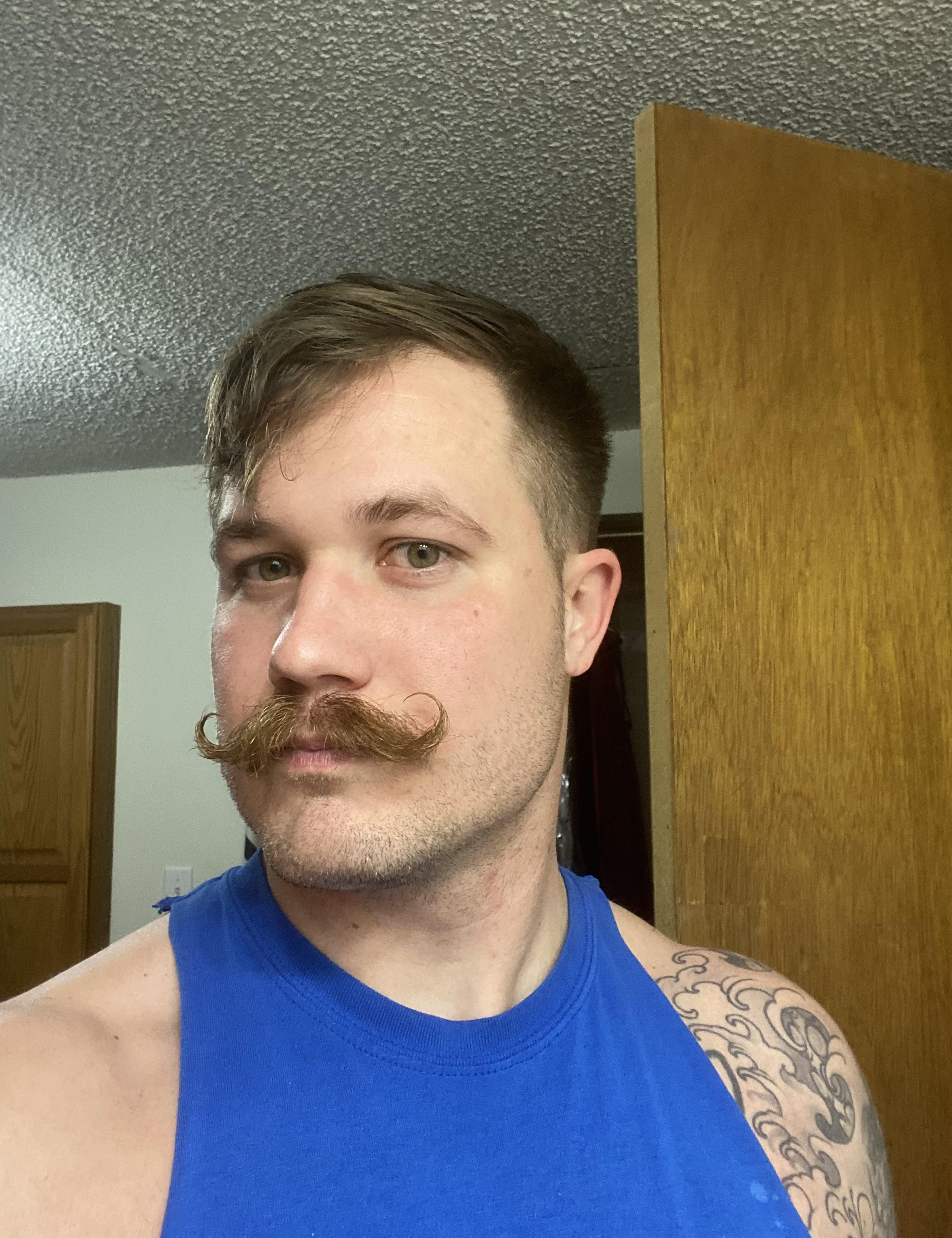 Reddit Dive into anything