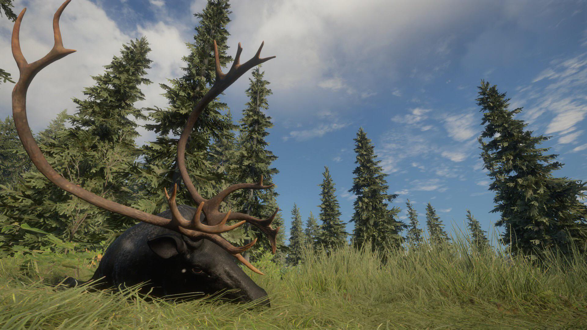 Got a nice looking Melanistic Caribou today. r/theHunter