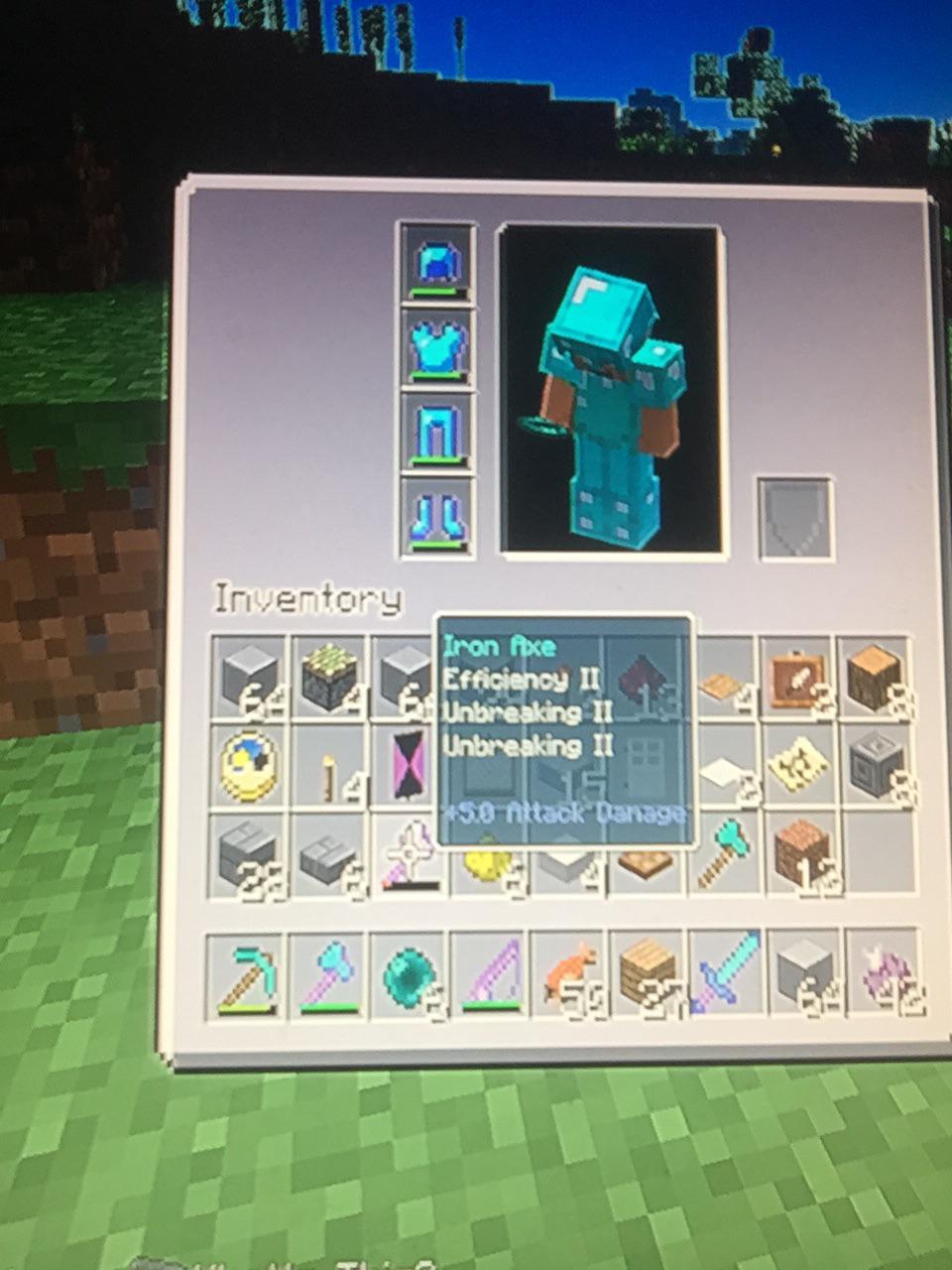 Iron Axe with Two Efficiency II Enchantments picked up from Vindicator