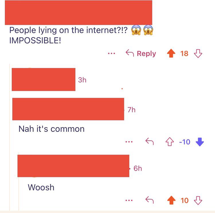 The is always a completely truthful place r/woooosh