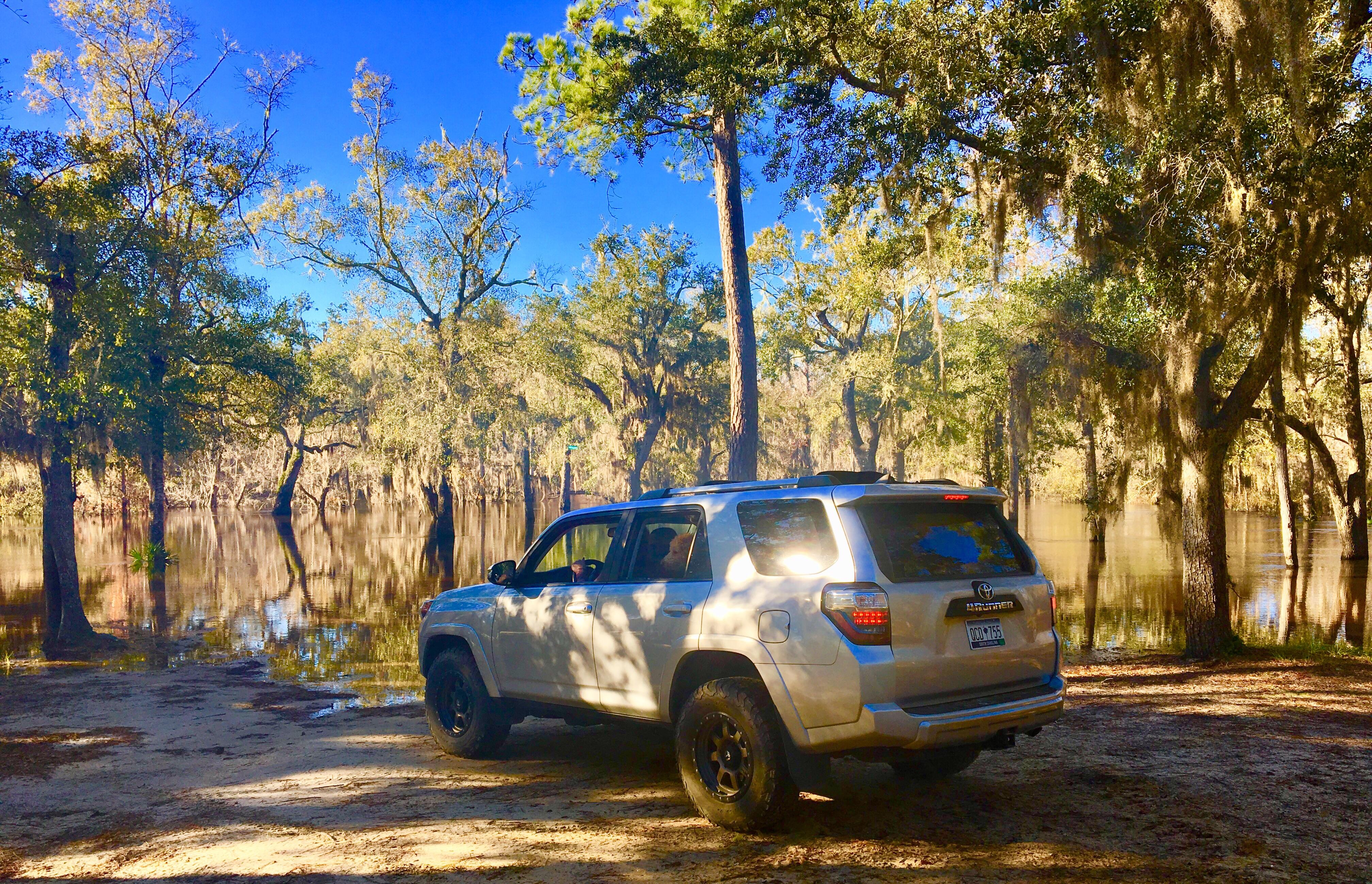 Great camping along the Altamaha River this past weekend. r/camping