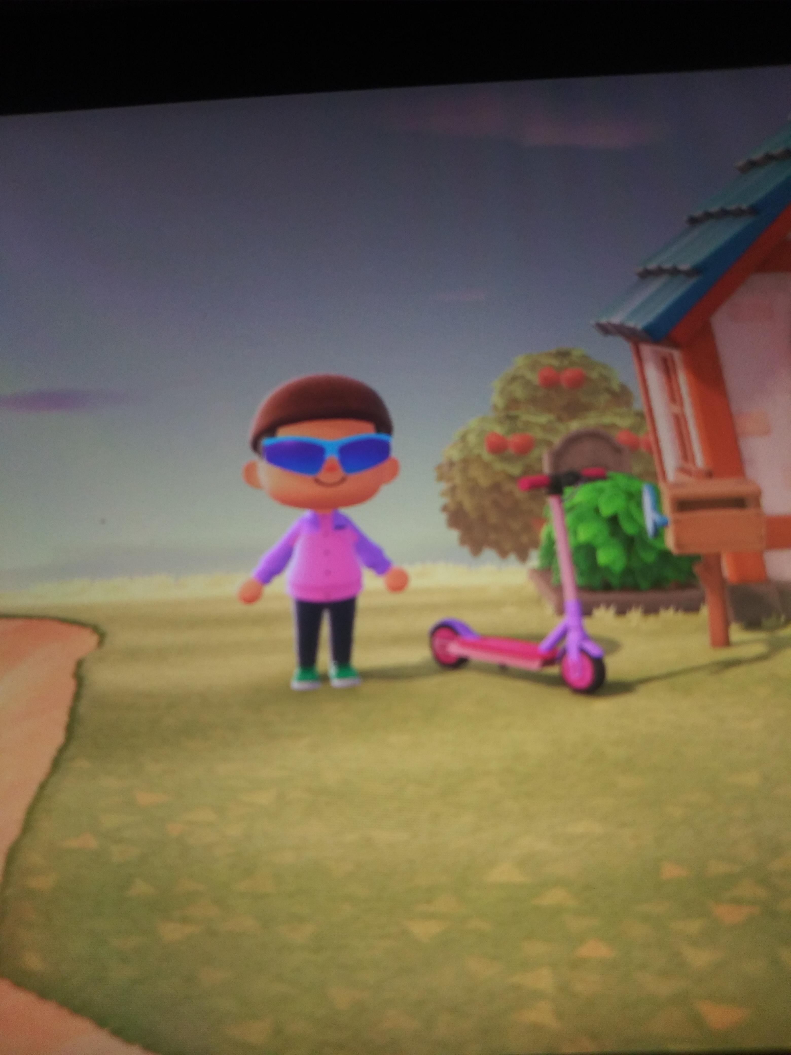 My best attempt in animal crossing (sorry for bad Camara quality) r