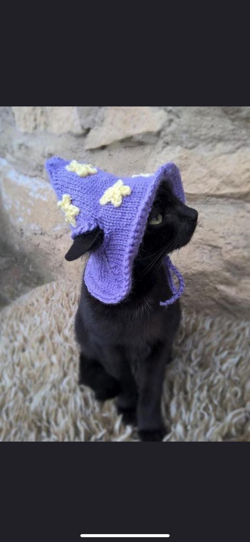 hii so i really like this crochet witch hat for cats but i cannot for