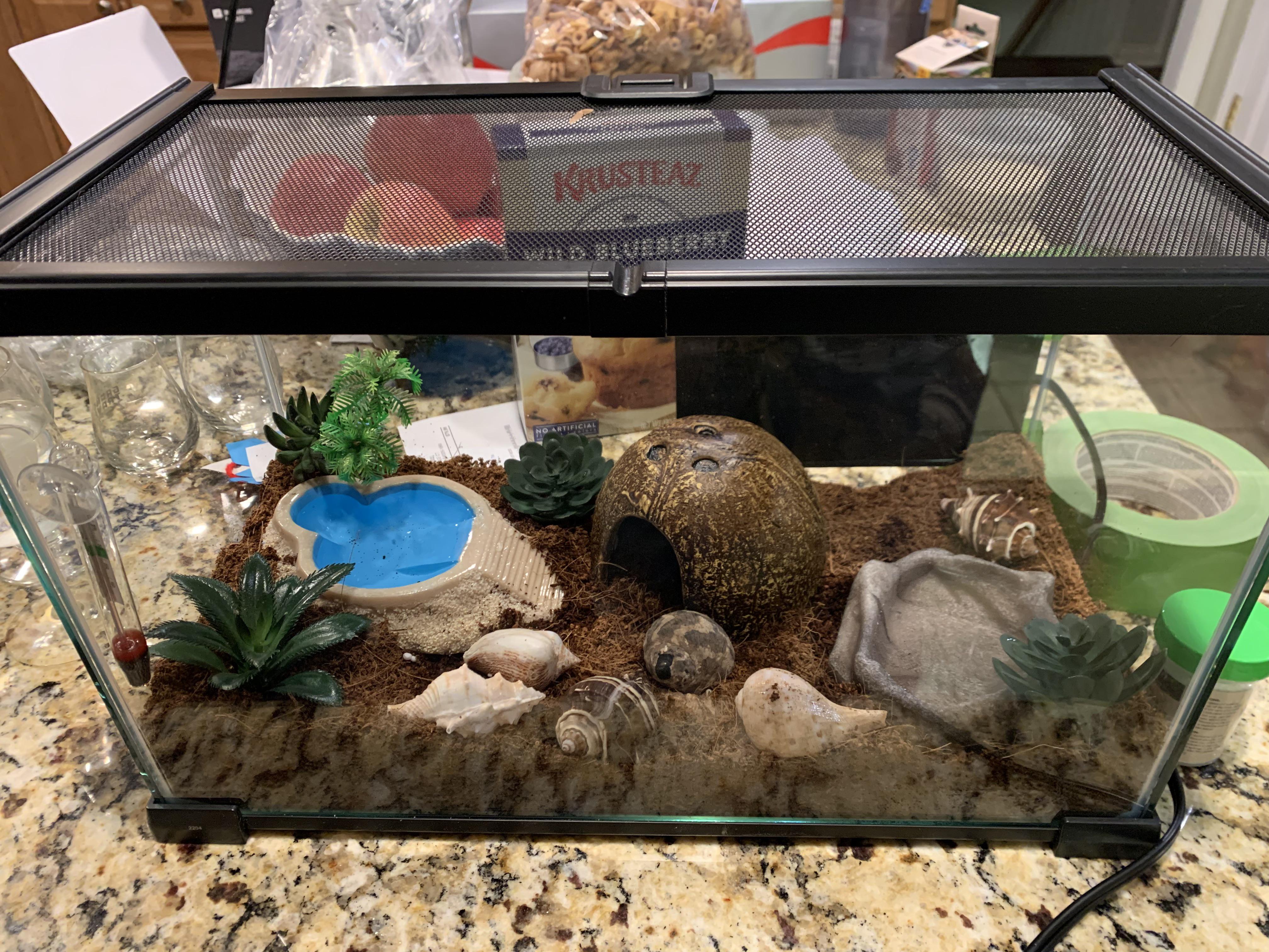 I just got two hermit crabs, does this tank look okay for them? Is